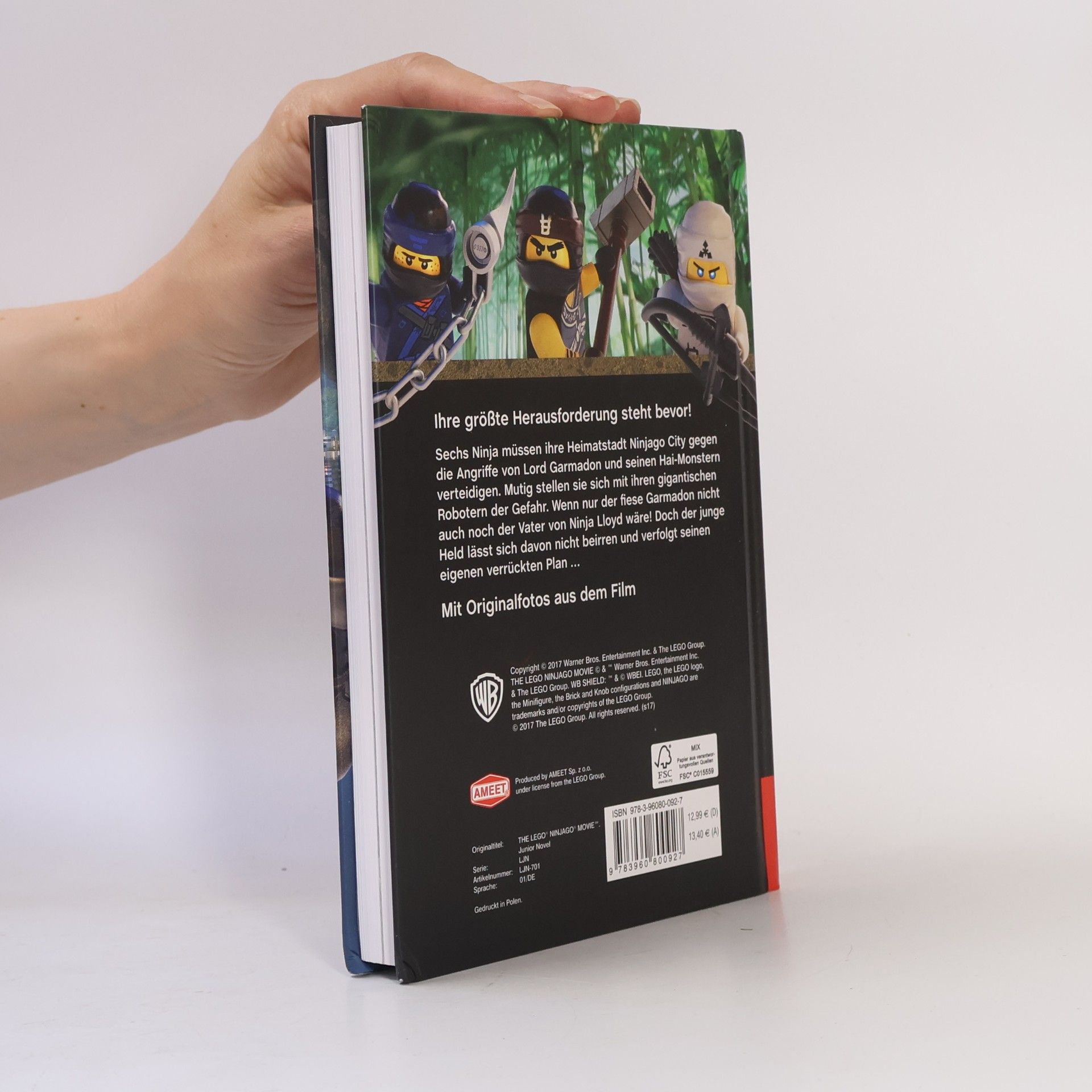 Kate Howard The LEGO Ninjago movie - das Buch zum Kinofilm