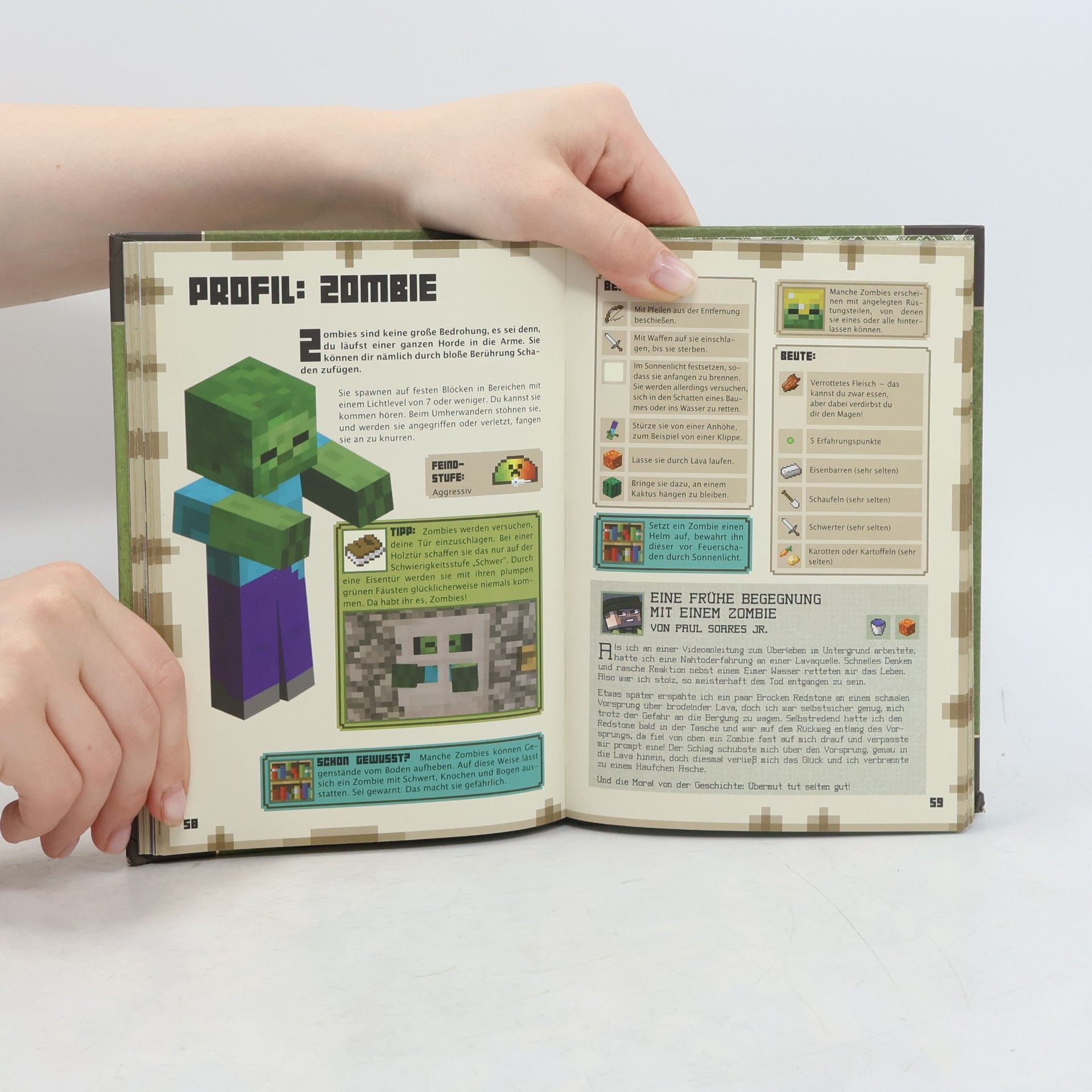 Autorenkollektiv Minecraft
