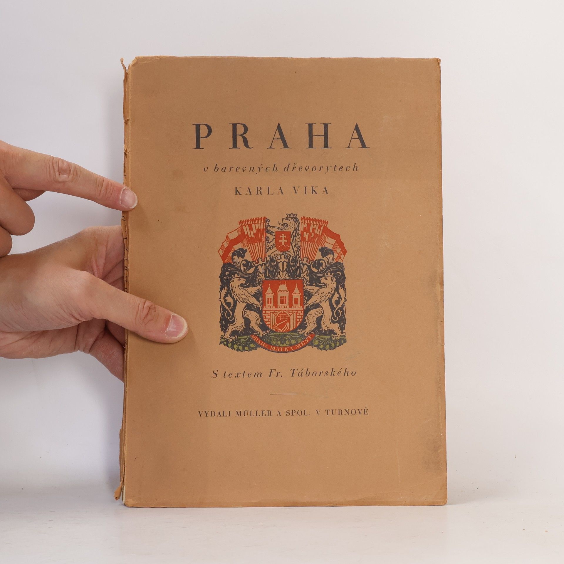 Karel Vik Praha v barevných dřevorytech Karla Vika