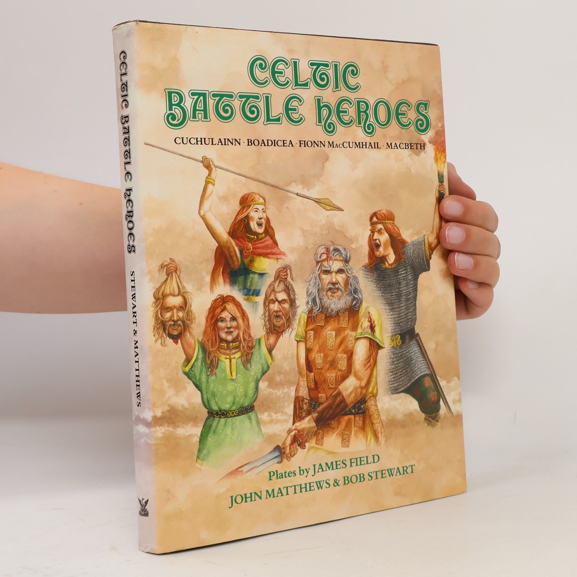 R. J. Stewart Heroes & Warriors: Celtic Battle Heroes