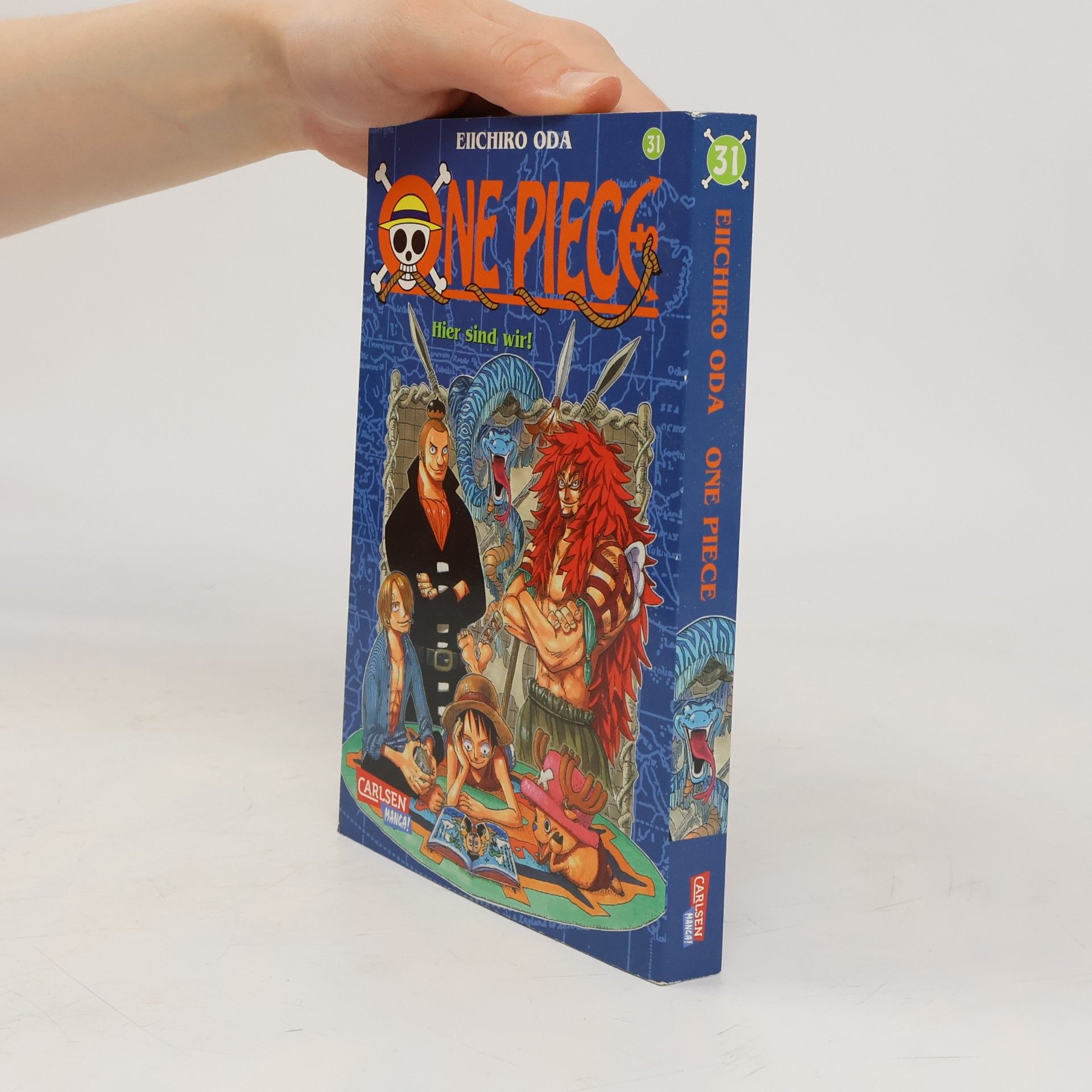 One Piece 31
