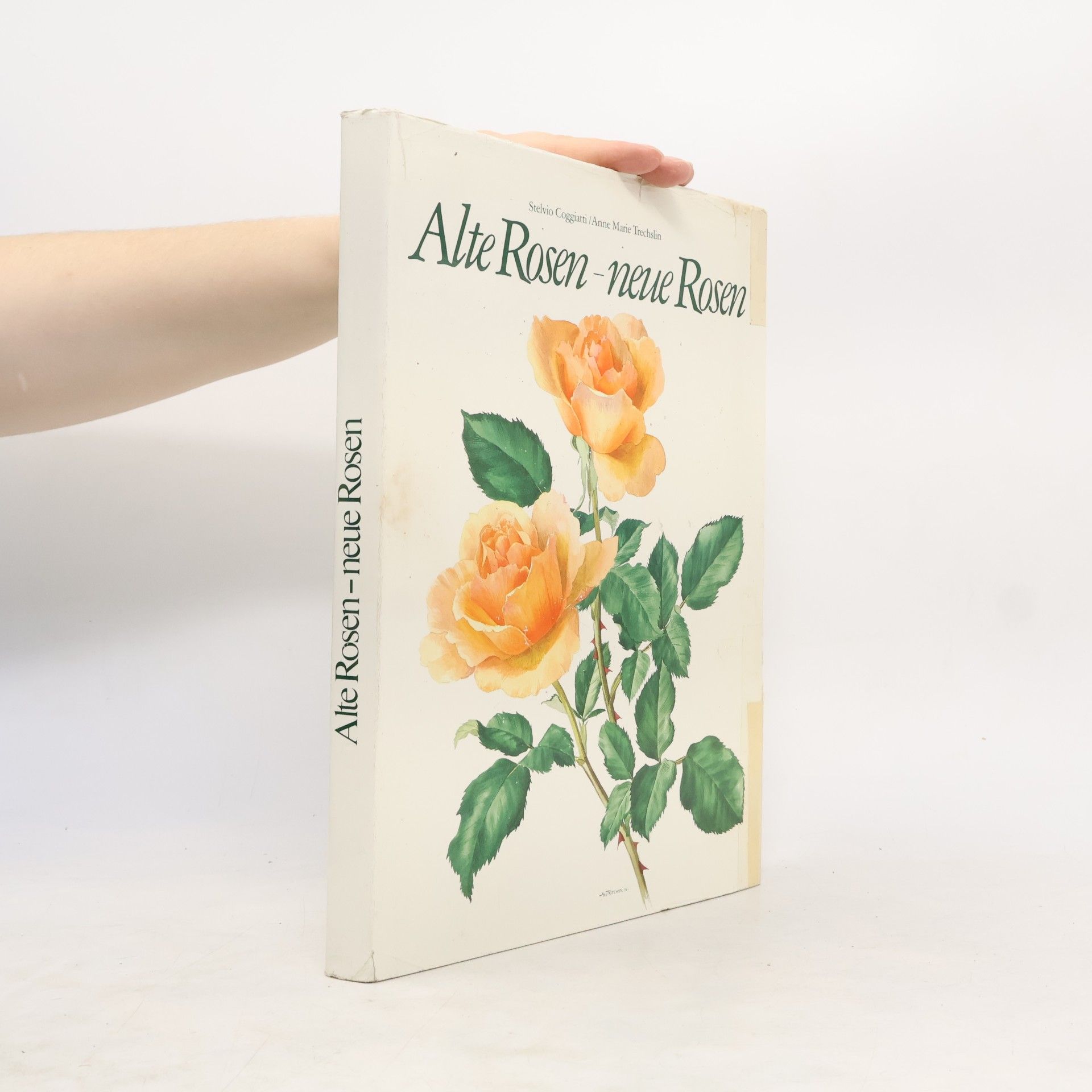 Anne Marie Trechslin Alte Rosen - neue Rosen