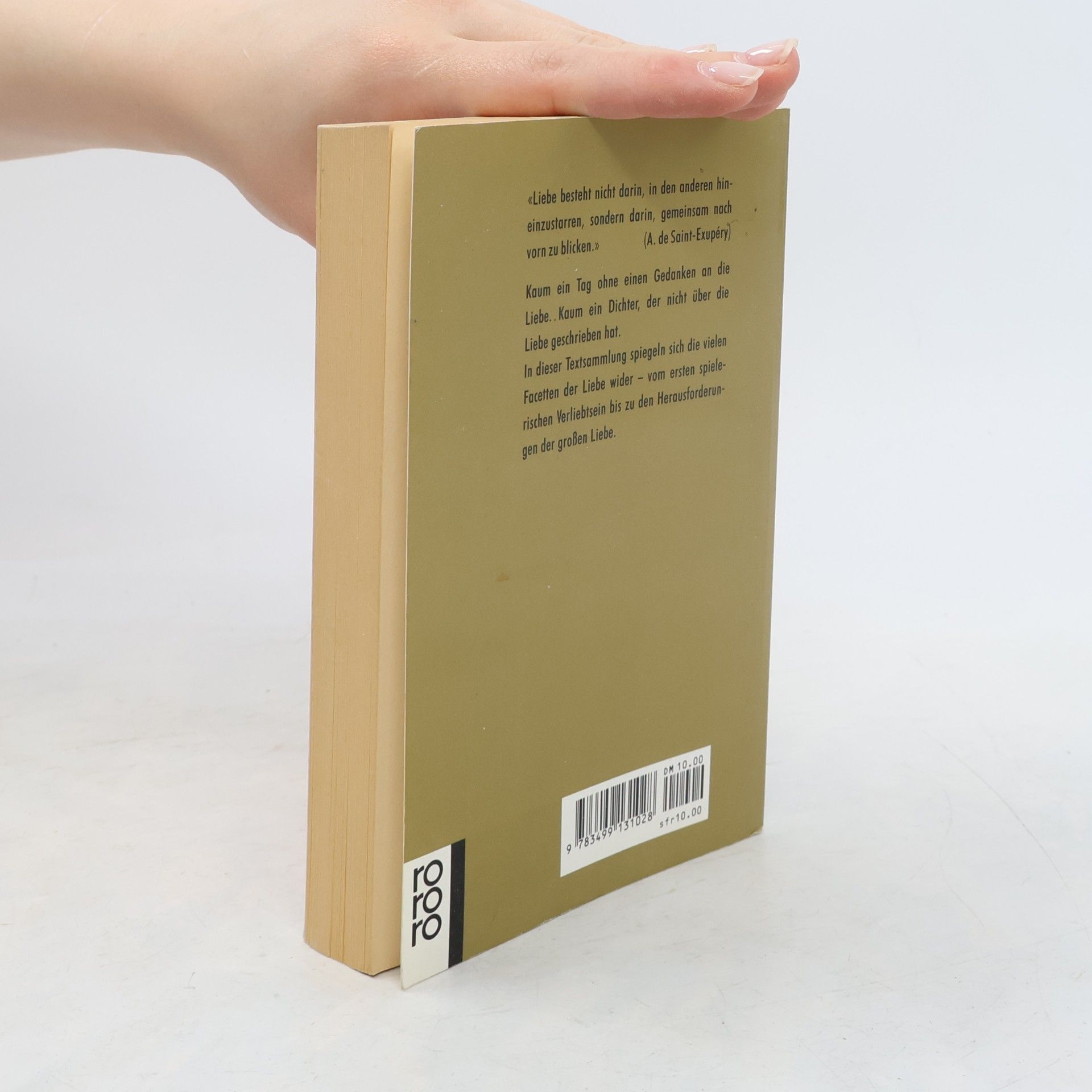 Christine Dorn Rowohlt-Lesebuch der Liebe