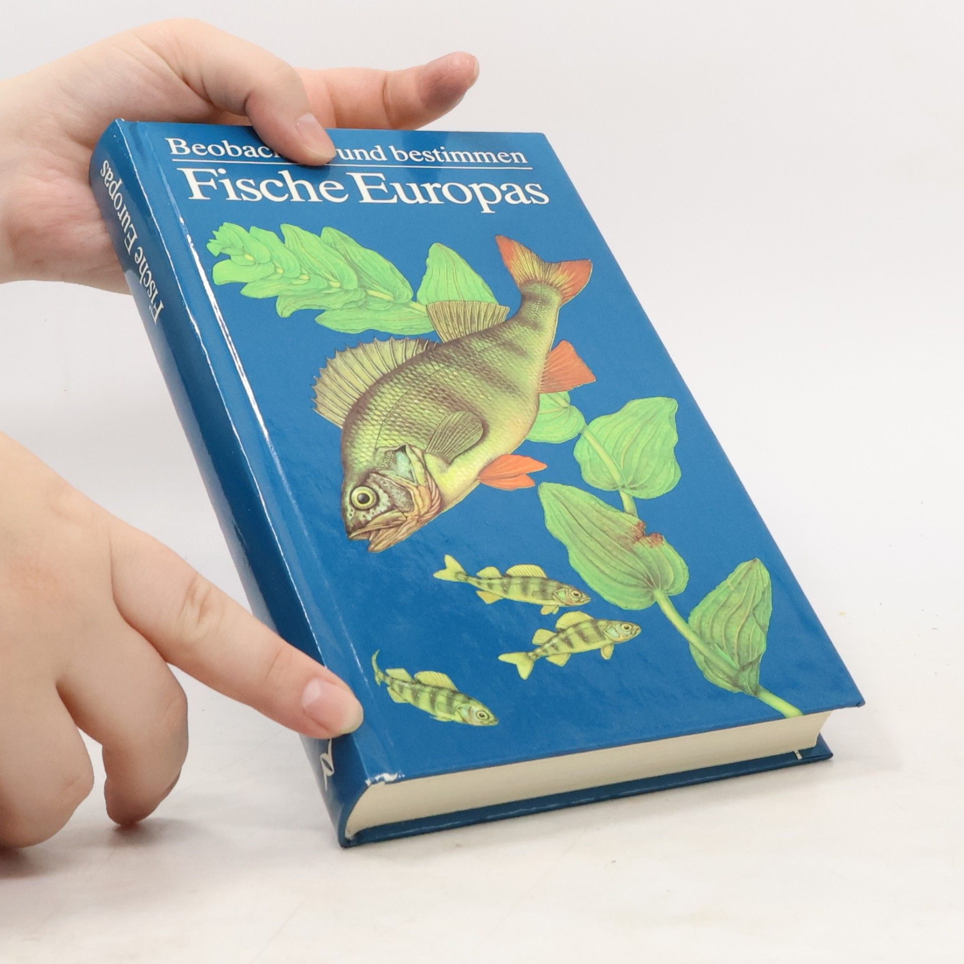 Horst Müller Fische Europas