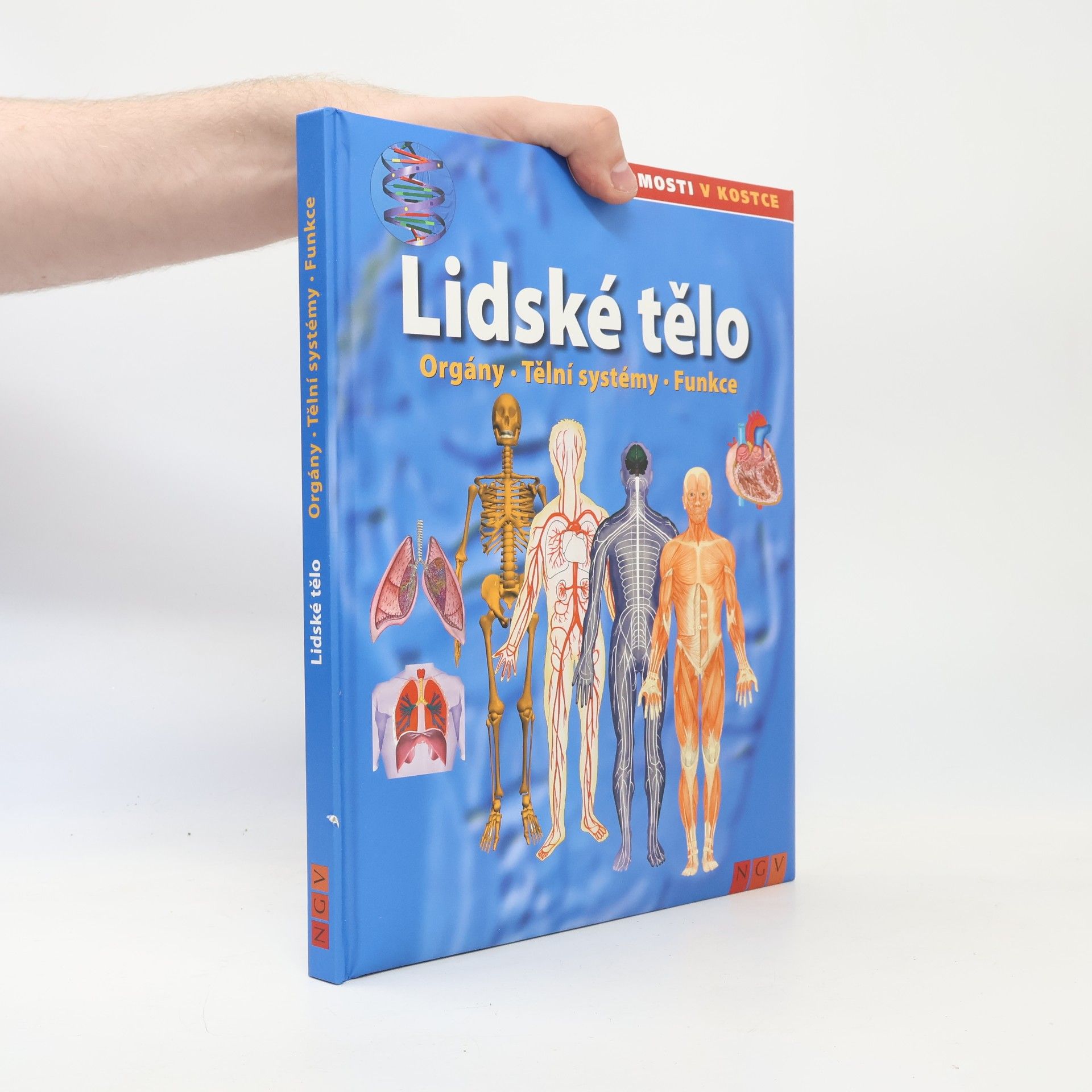 Collectif d'auteurs Lidské tělo. Orgány. Tělní systémy. Funkce