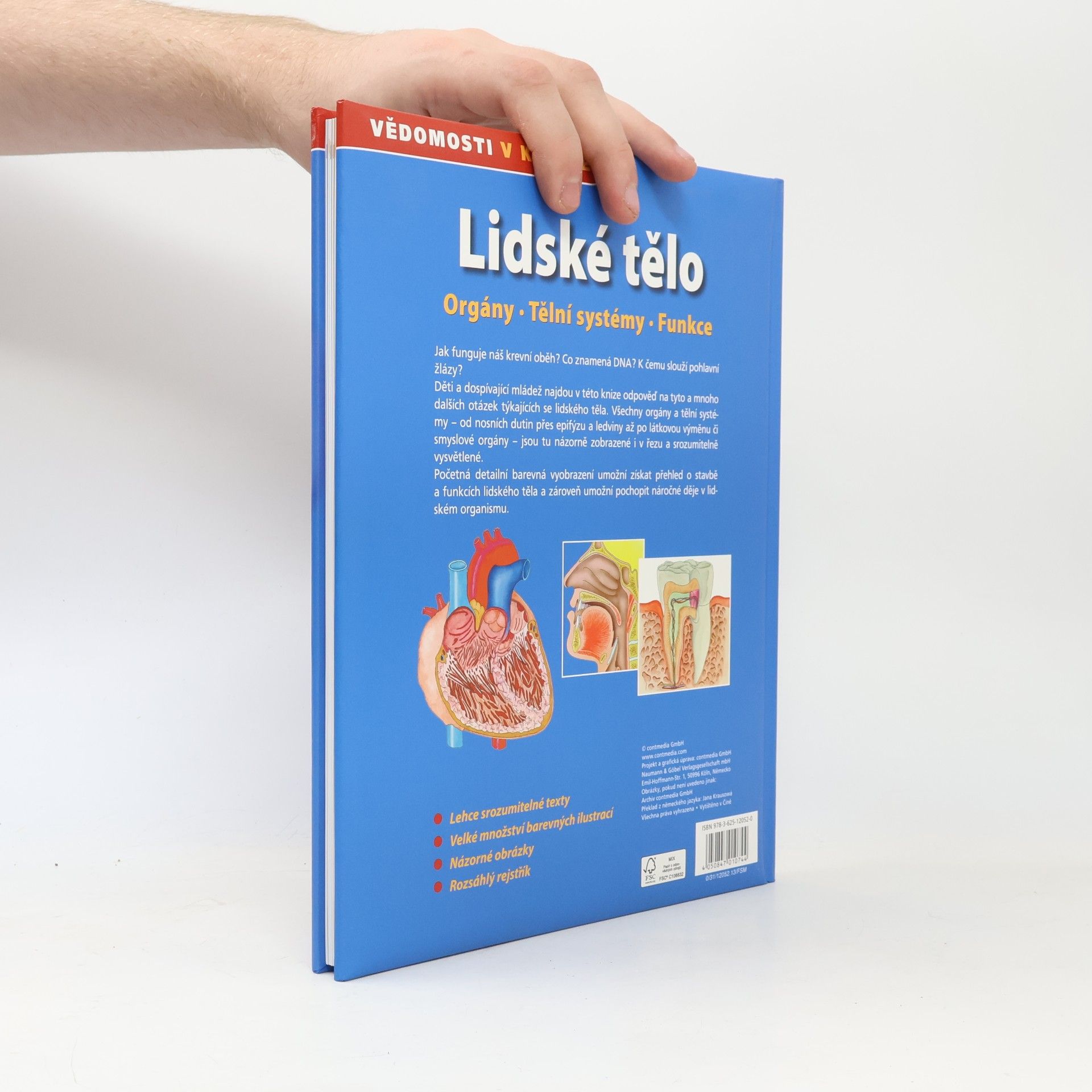 Autorenkollektiv Lidské tělo. Orgány. Tělní systémy. Funkce