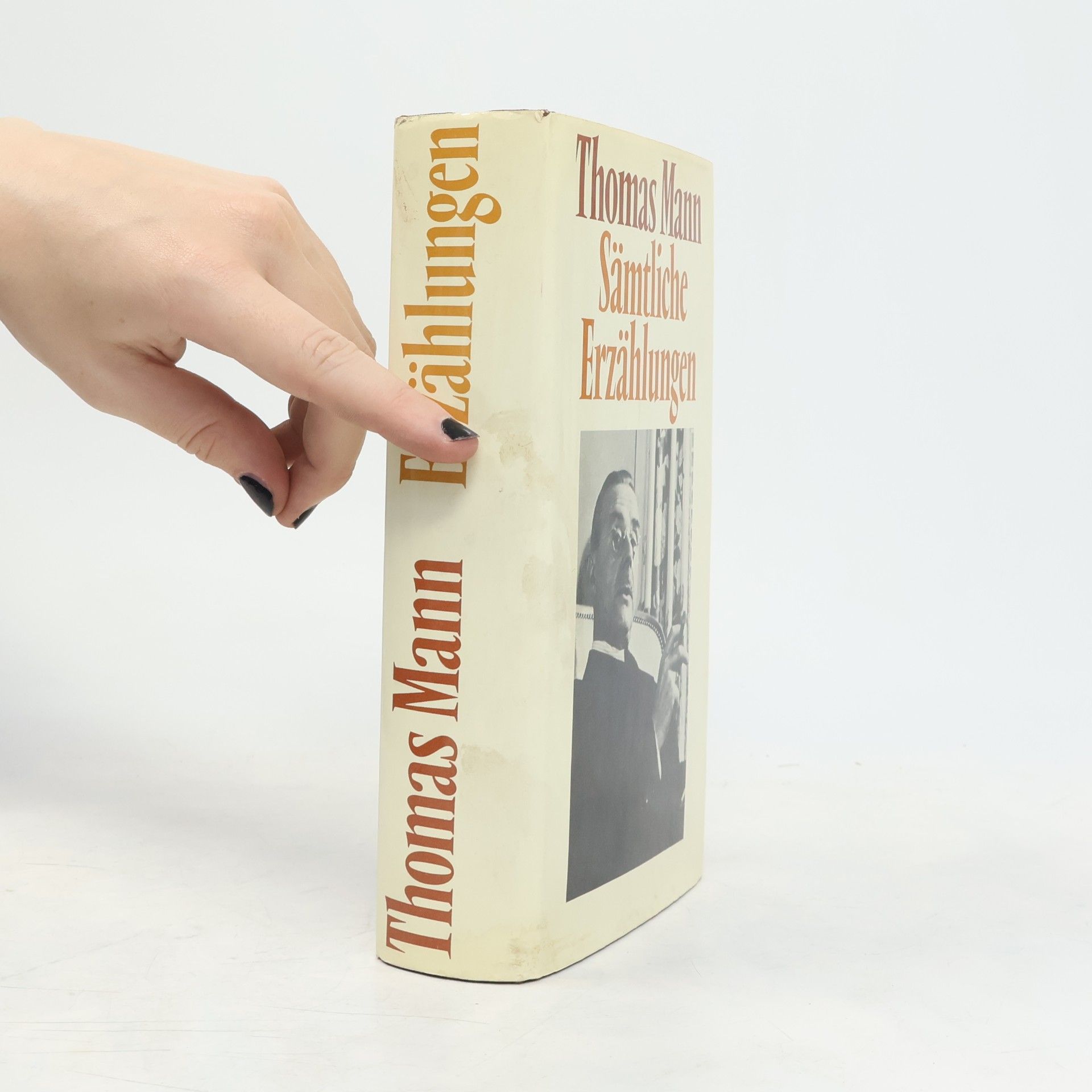 Thomas Mann Sämtliche Erzählungen