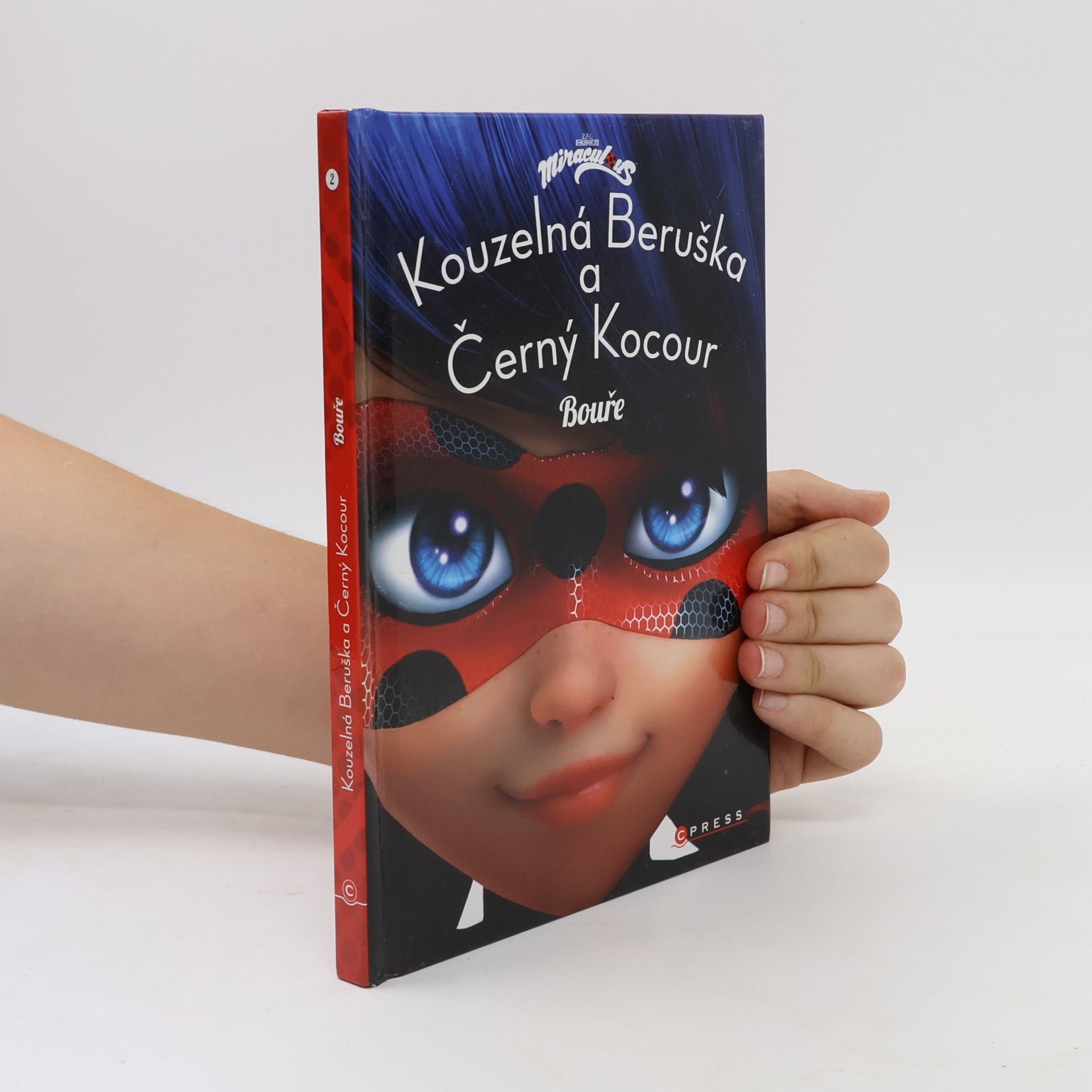Kateřina Hošková Kouzelná Beruška a Černý Kocour. Bouře