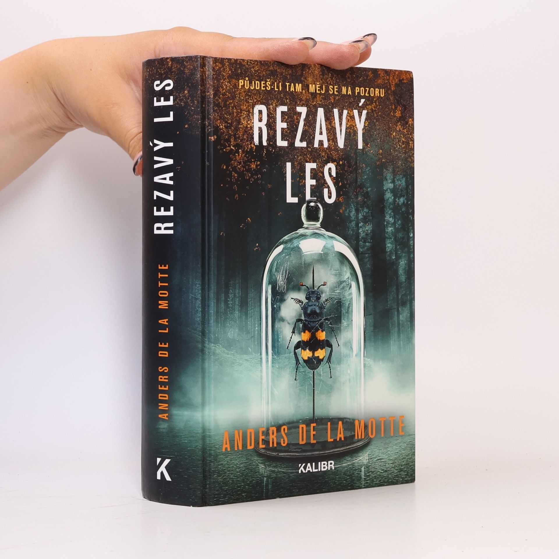 Anders De la Motte Rezavý les