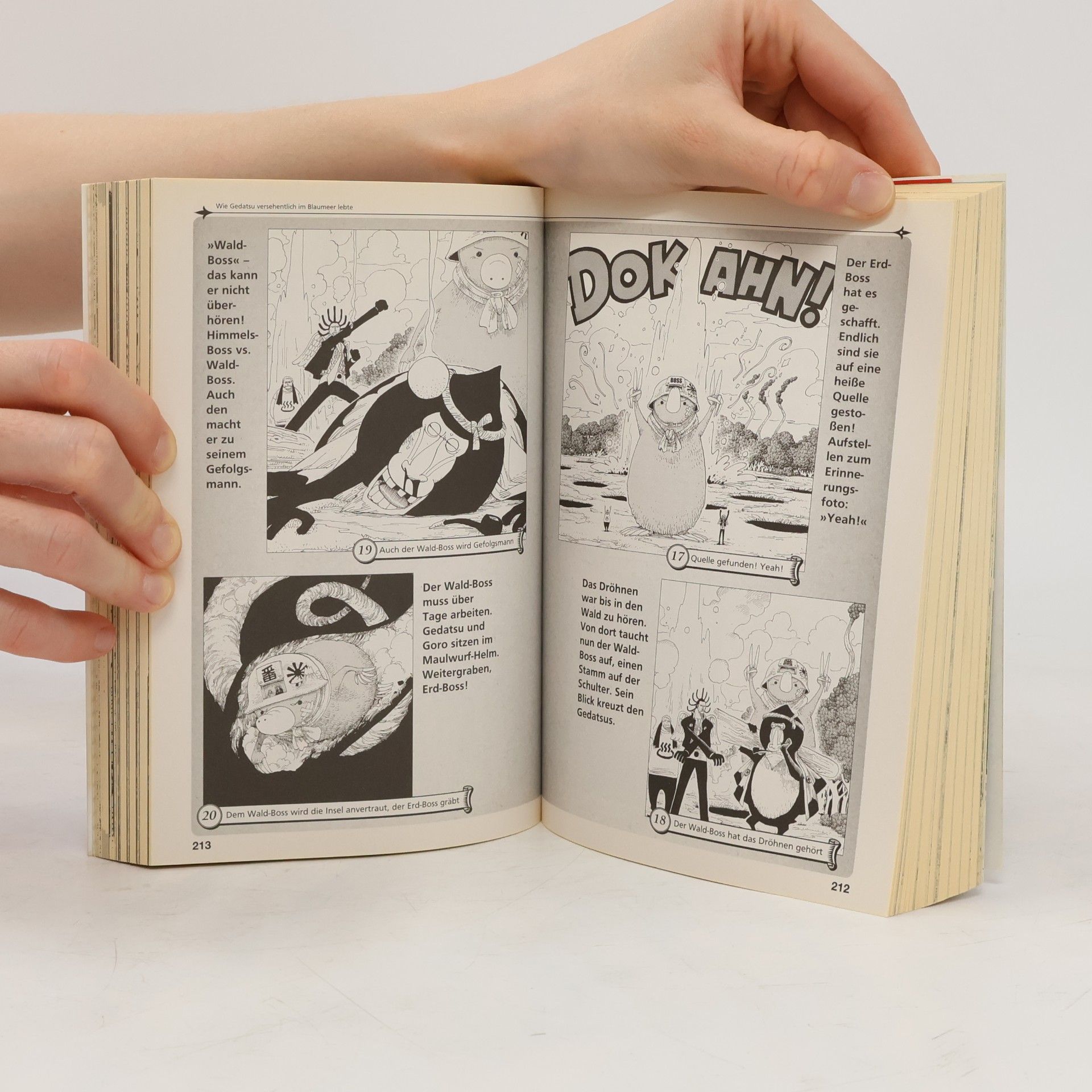 Eiichiro Oda One piece green