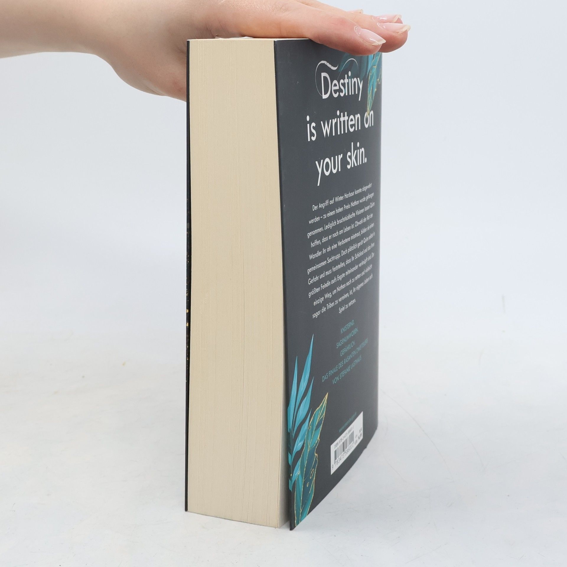 Stefanie Lasthaus Touch of Ink, Band 2: Im Bann der Verbotenen