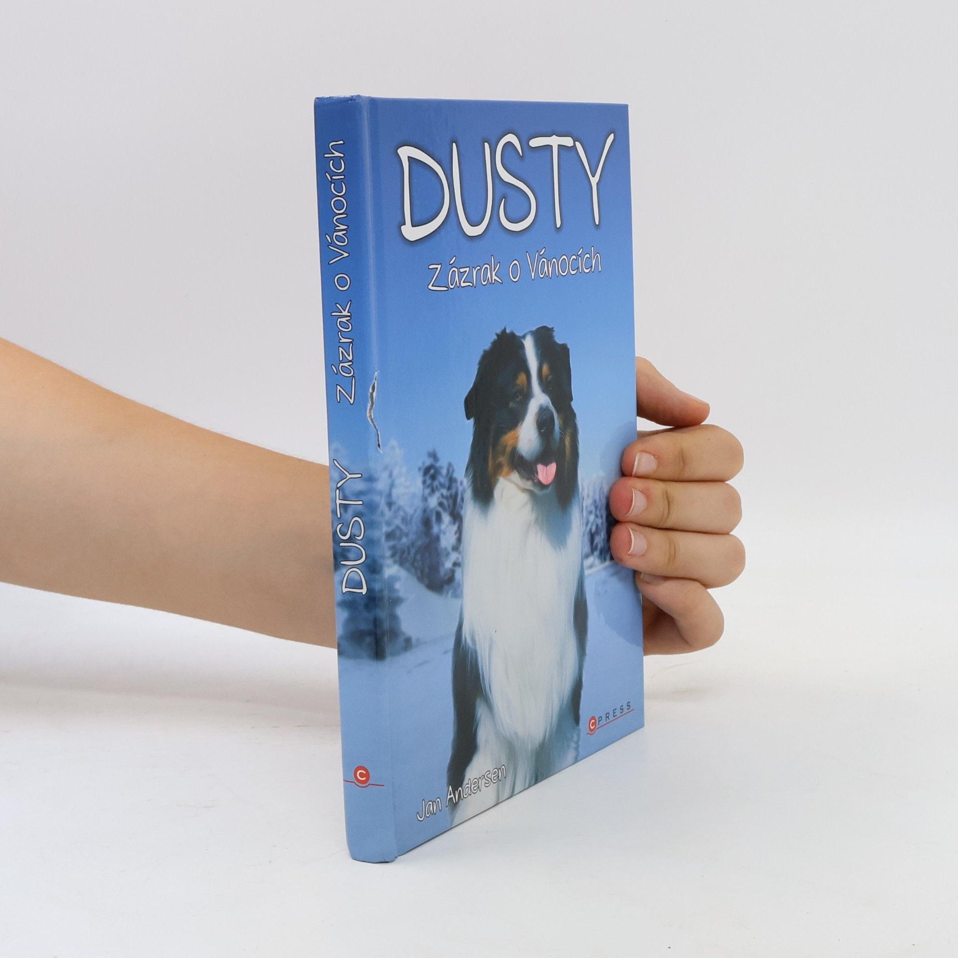 Wolfram Hänel Dusty: Zázrak o Vánocích