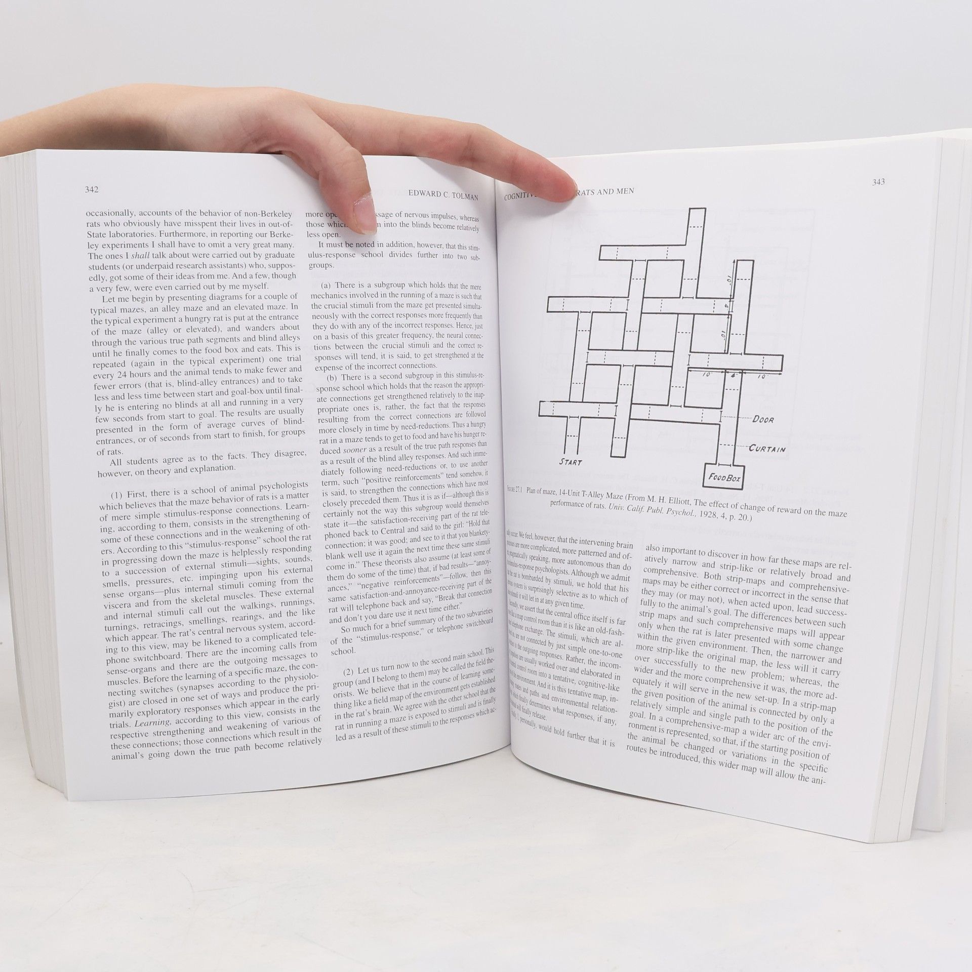Margaret P. Munger The History of Psychology