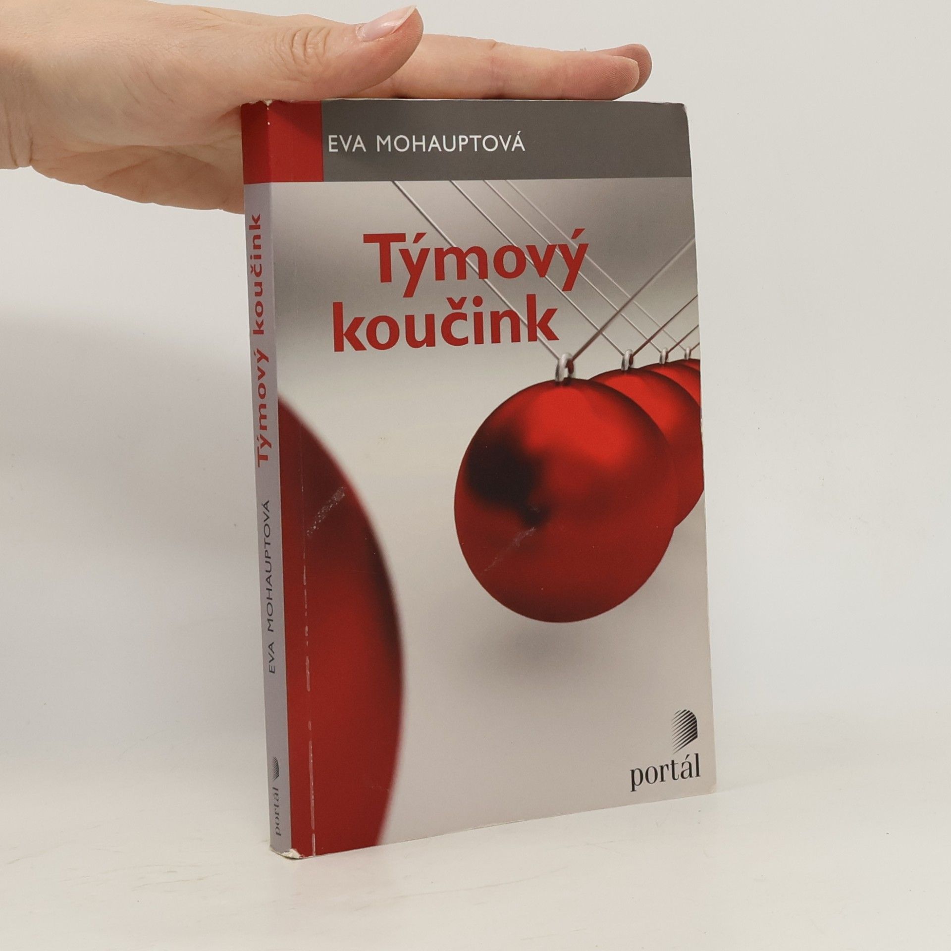 Eva Mohauptová Týmový koučink