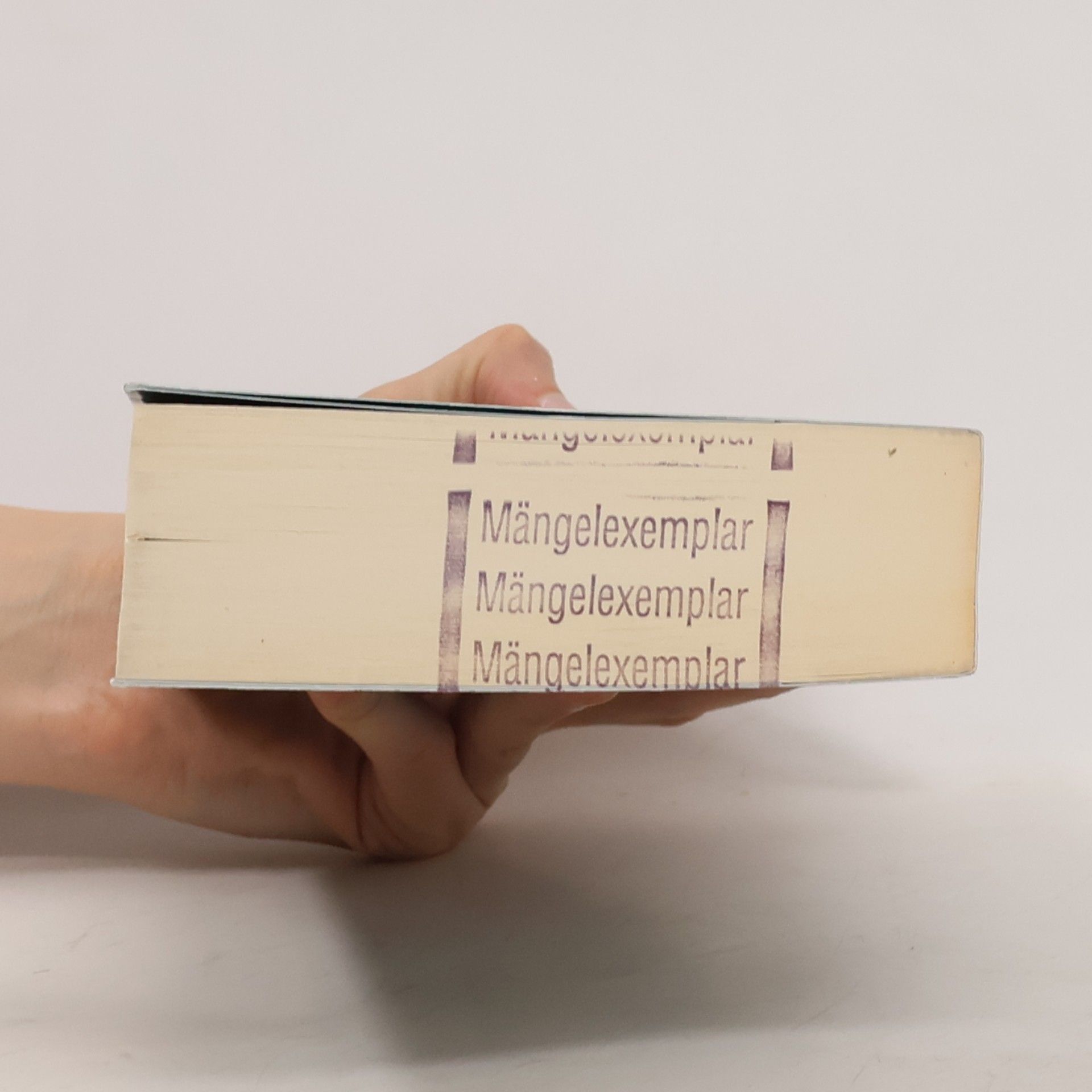 Diana Menschig Hüter der Worte