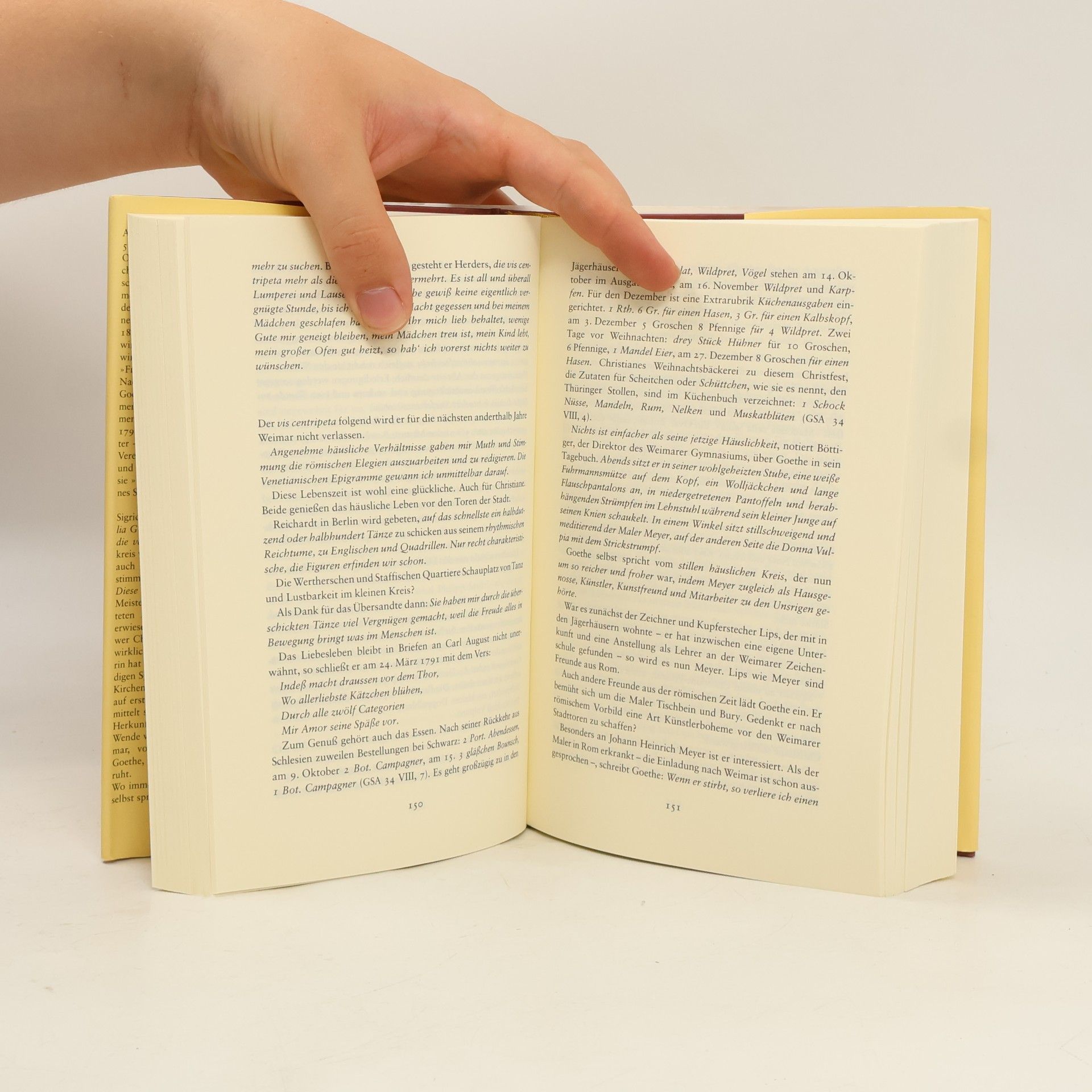 Sigrid Damm Christiane und Goethe