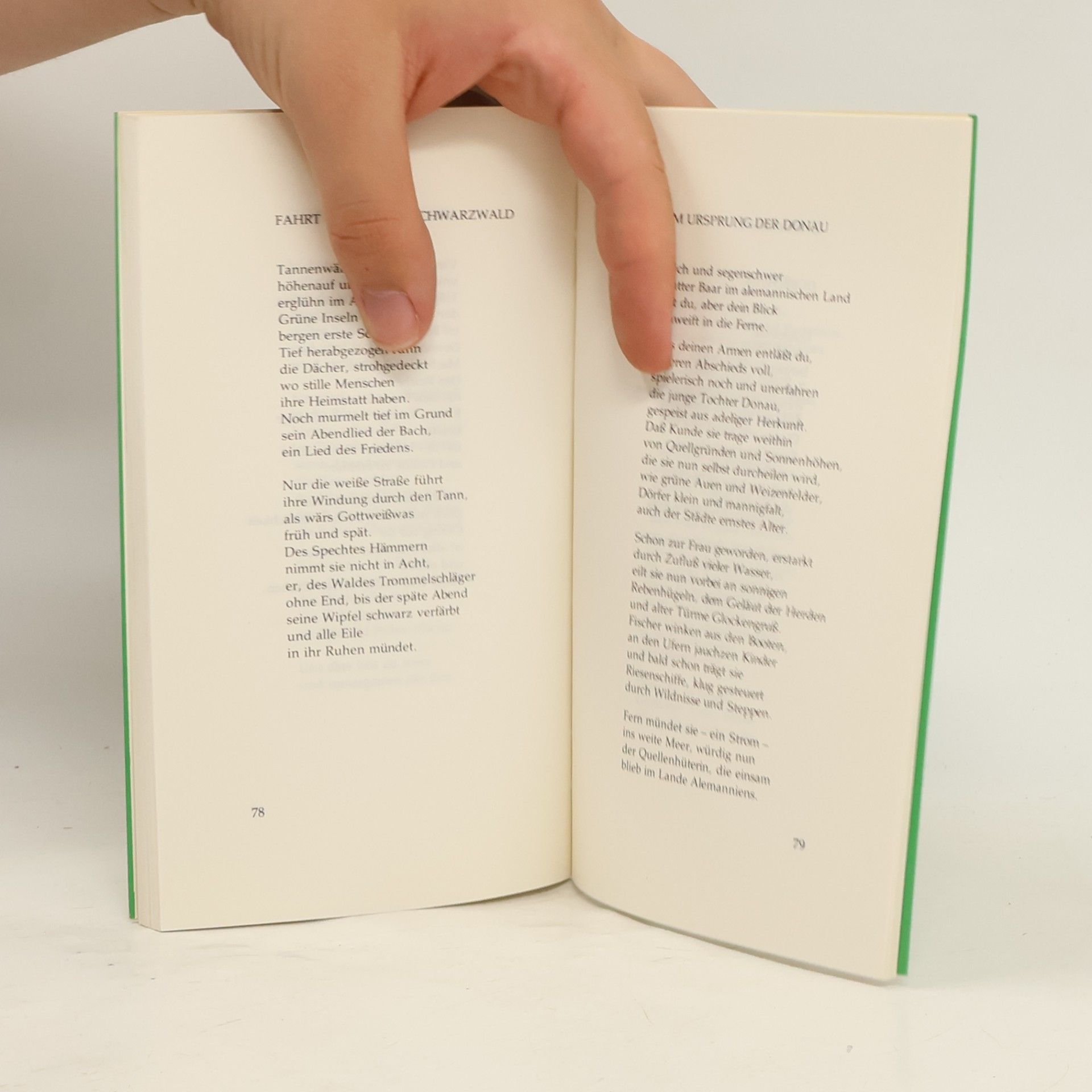 Natalie Beer Gesang der Landschaft