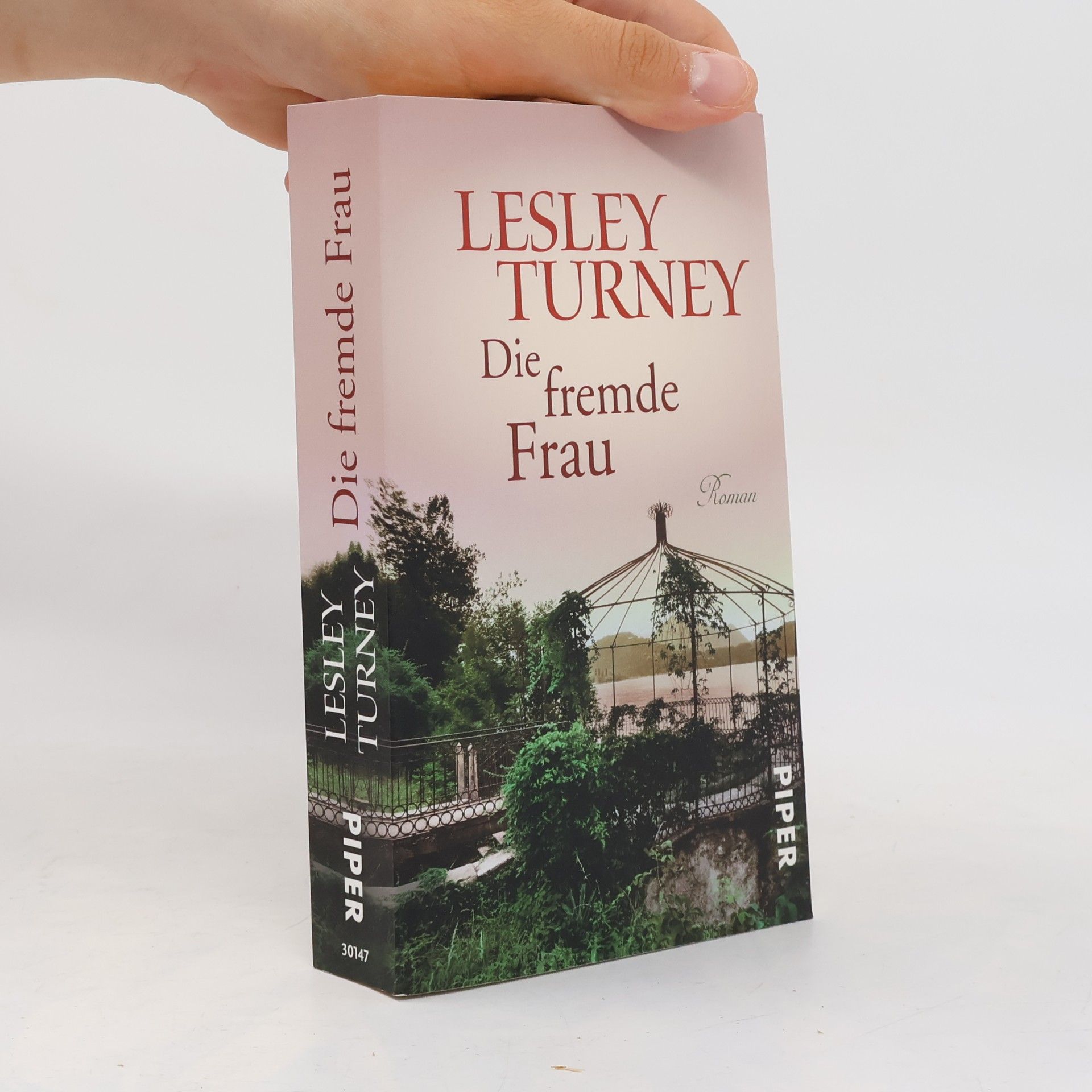 Lesley Turney Die fremde Frau