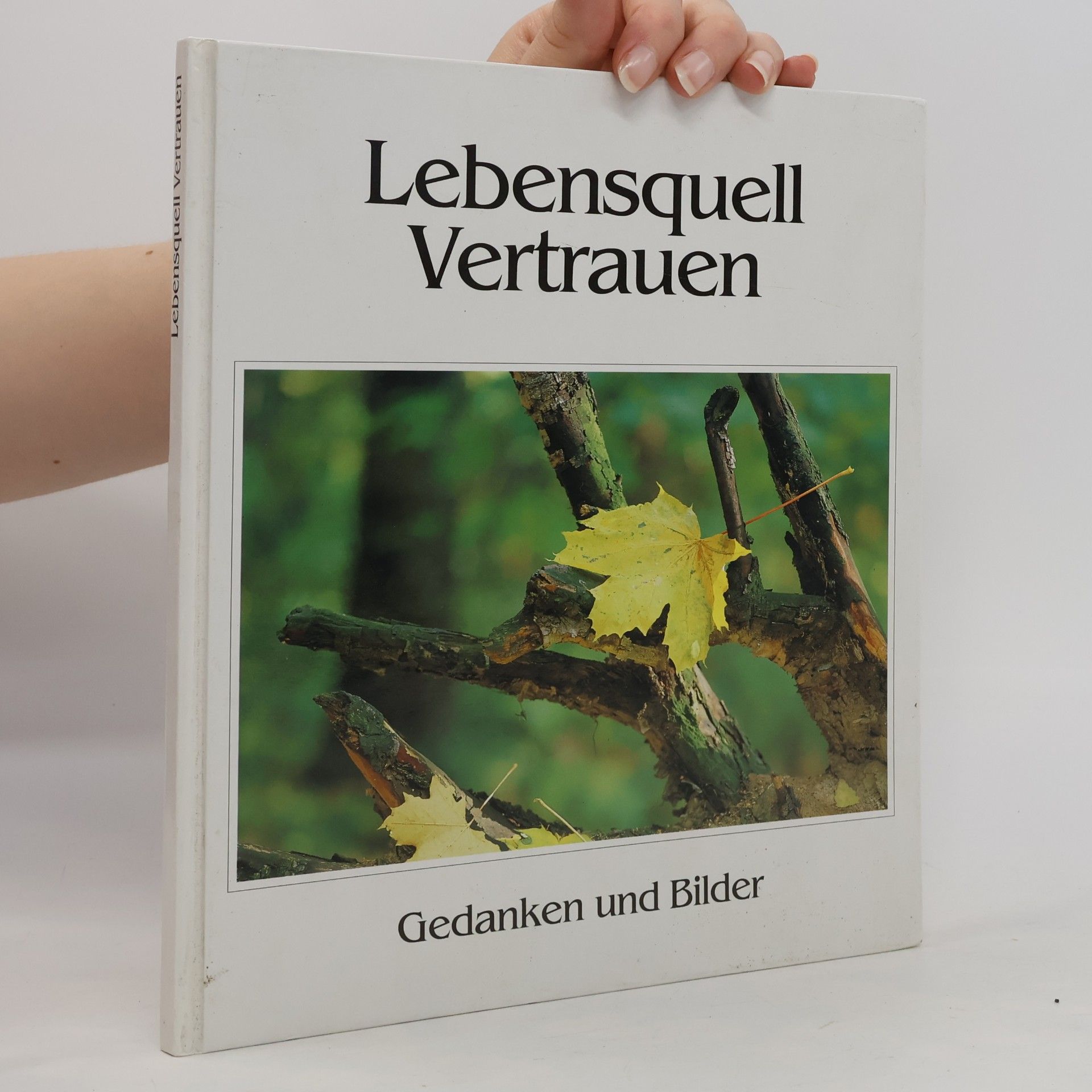 Steffen Thost Lebensquell Vetrauen