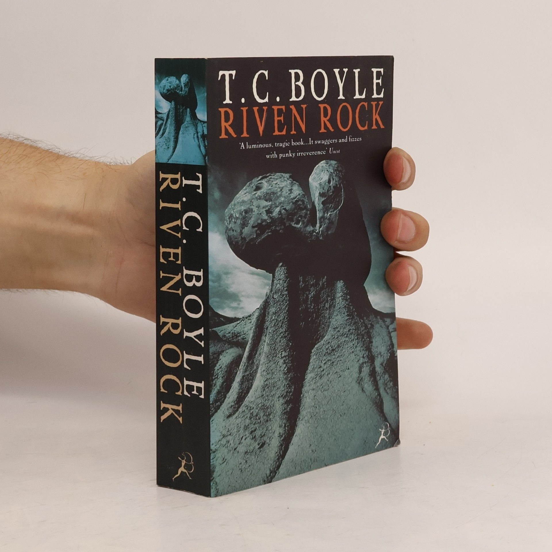 Tom Coraghessan Boyle Riven Rock