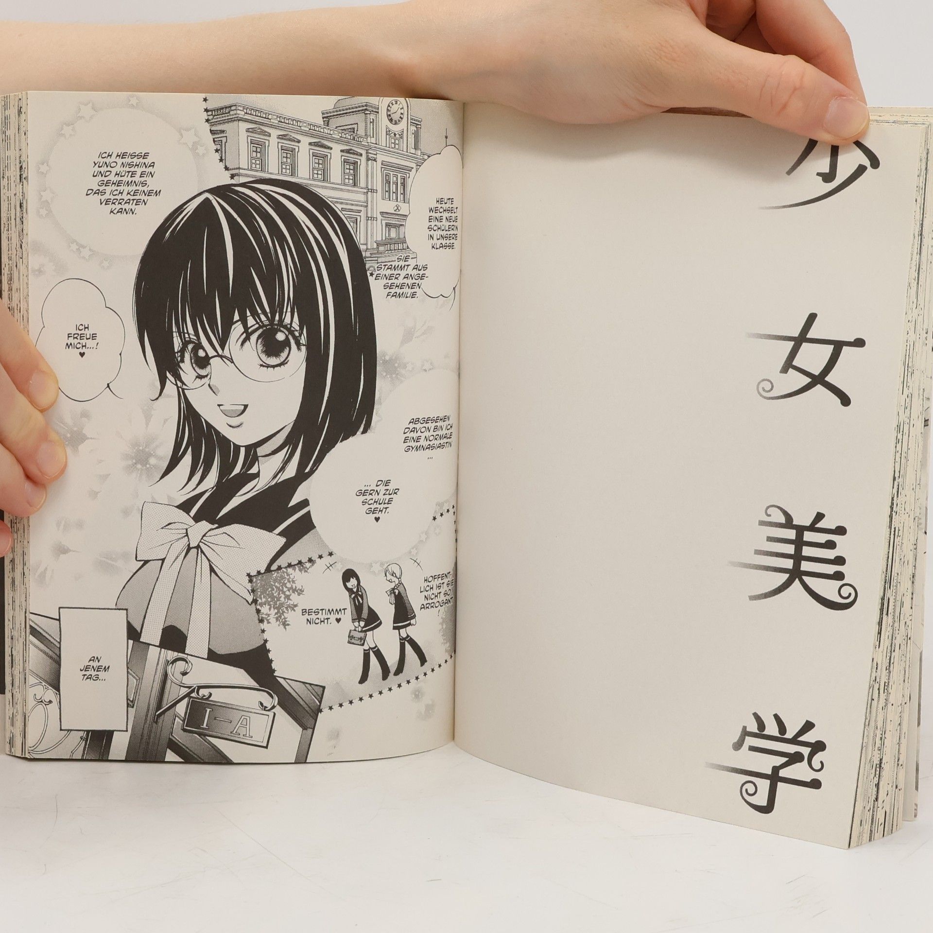 Chi-Ran Girls love. Shojo bigaku