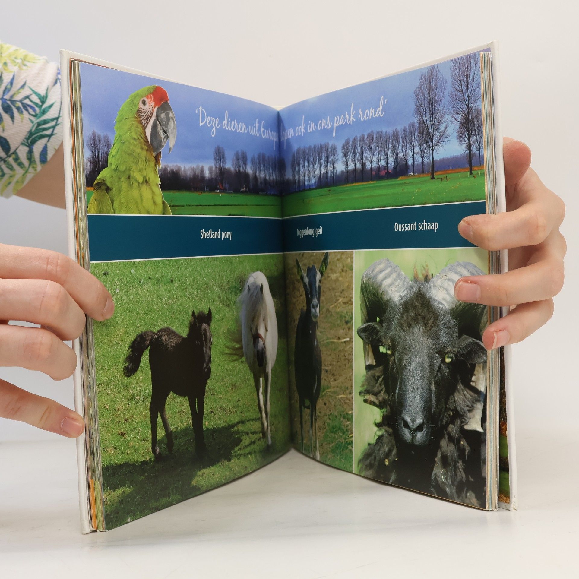 Auteurscollectief Dierenwereld.  Van Blanckendaell Park