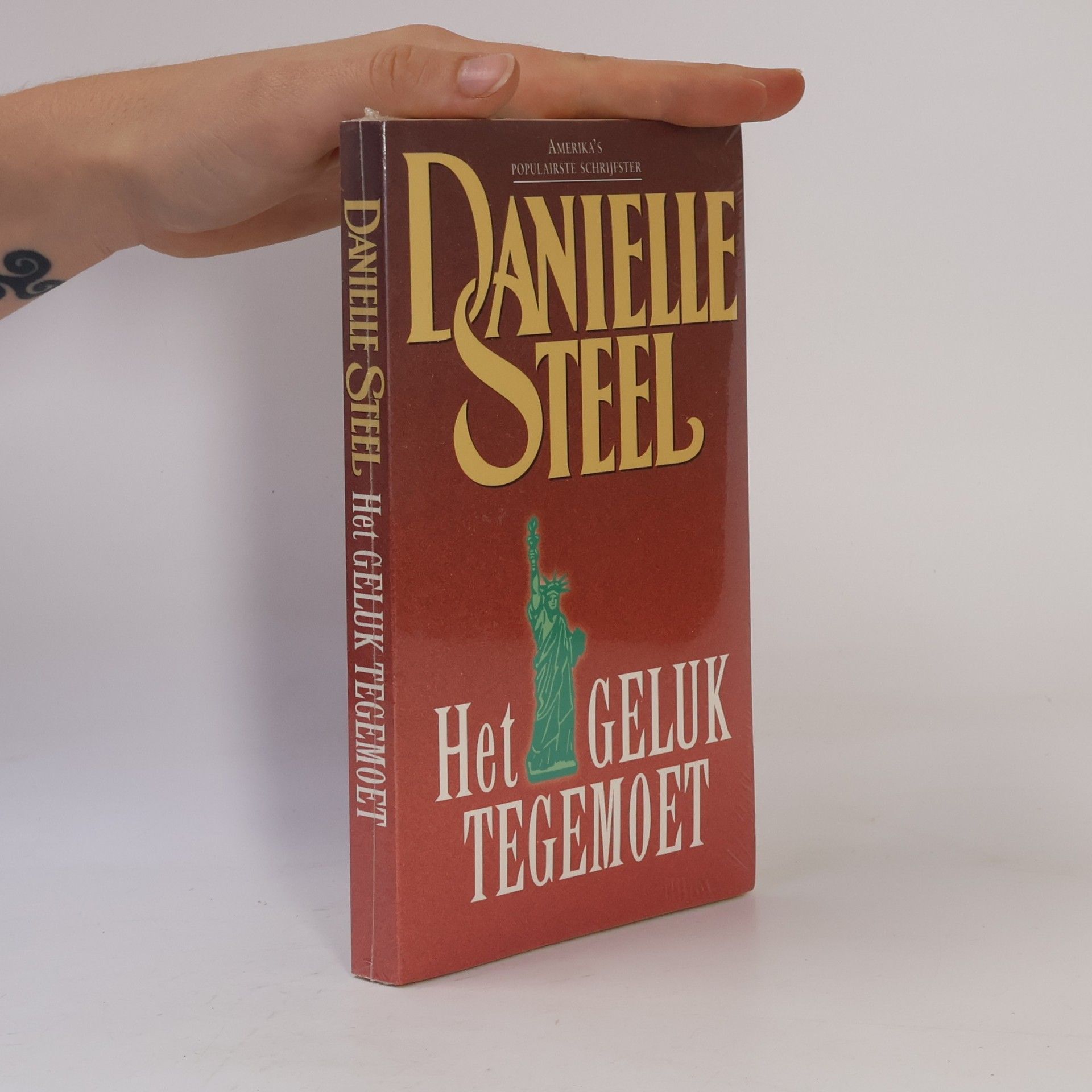 Danielle Steel Het geluk tegemoet