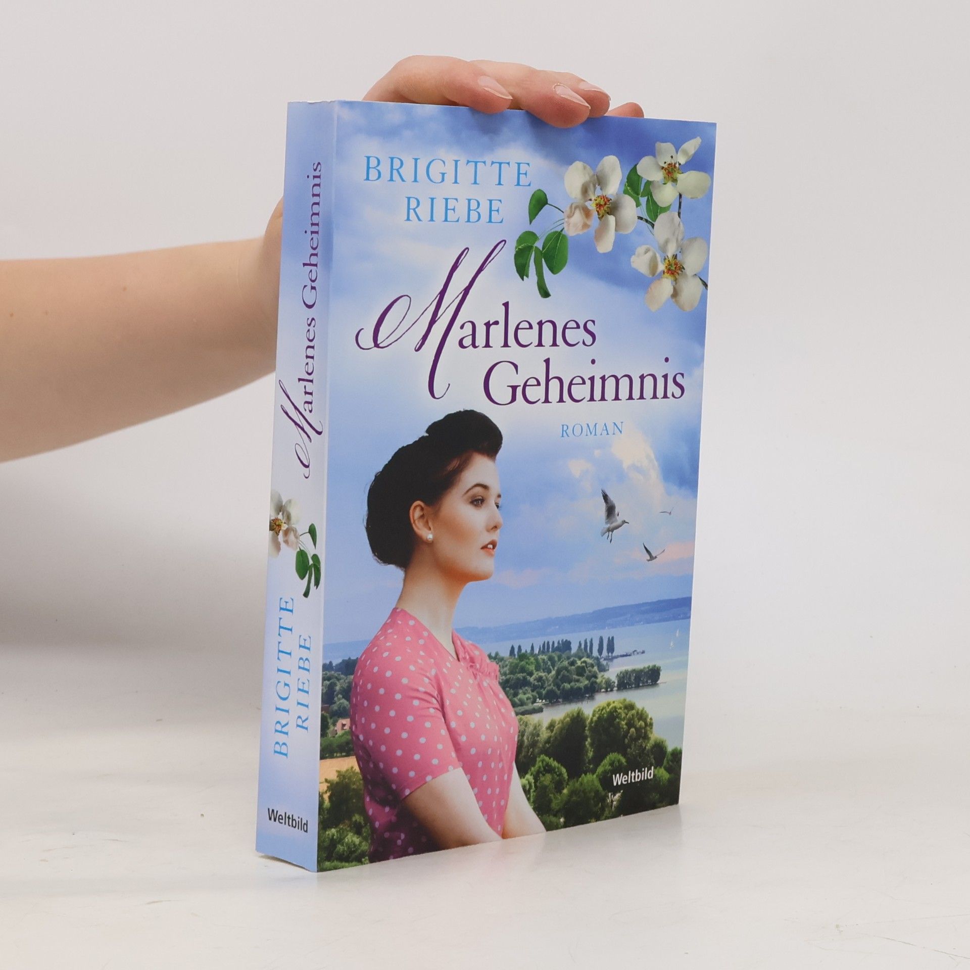 Brigitte Riebe Marlenes Geheimnis