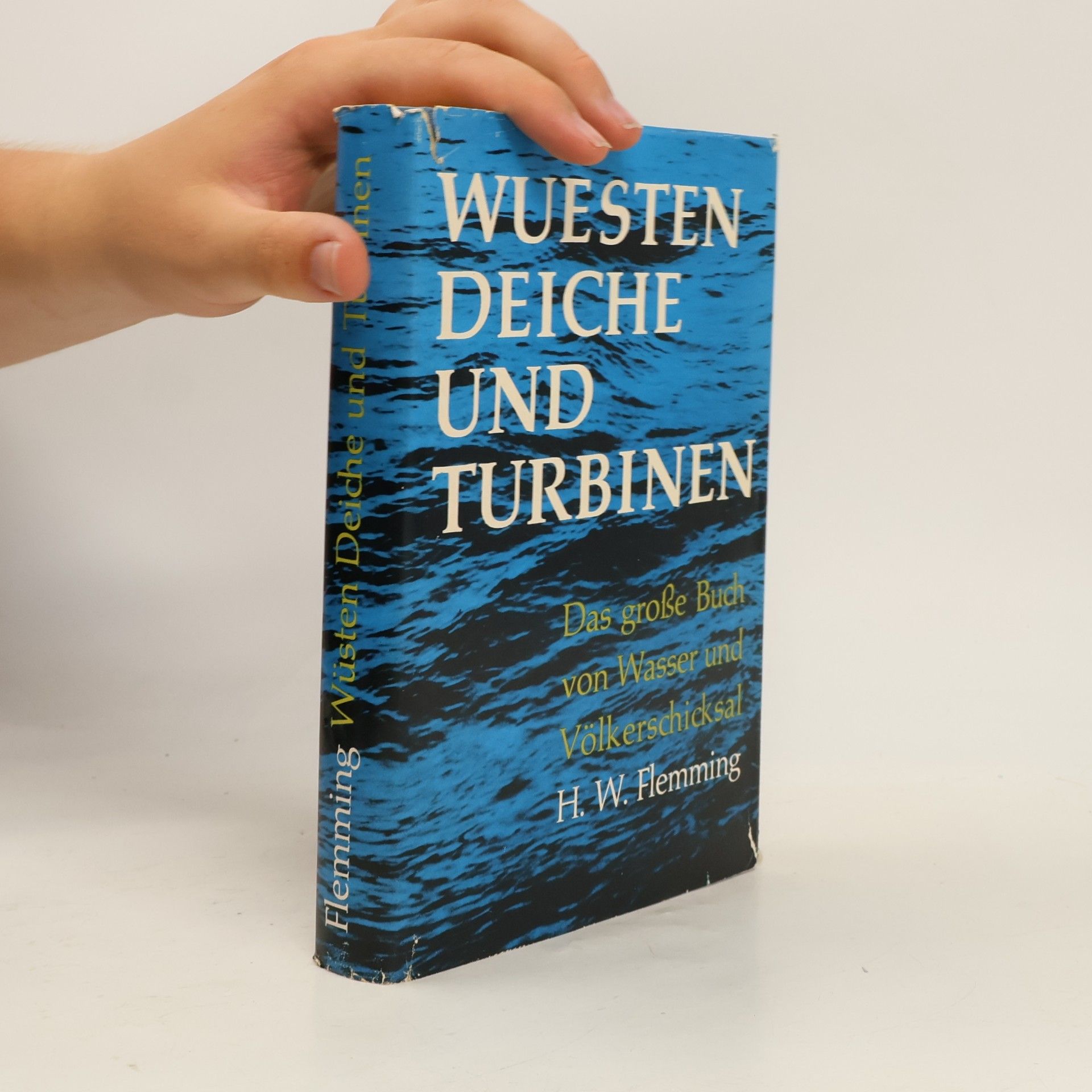 Hans Walter Flemming  Wüsten, Deiche und Turbinen. Das große Buch von Wasser und Völkerschicksal