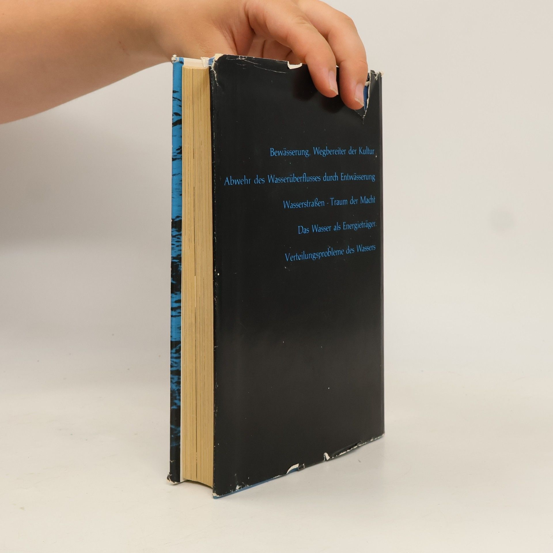 Hans Walter Flemming  Wüsten, Deiche und Turbinen. Das große Buch von Wasser und Völkerschicksal