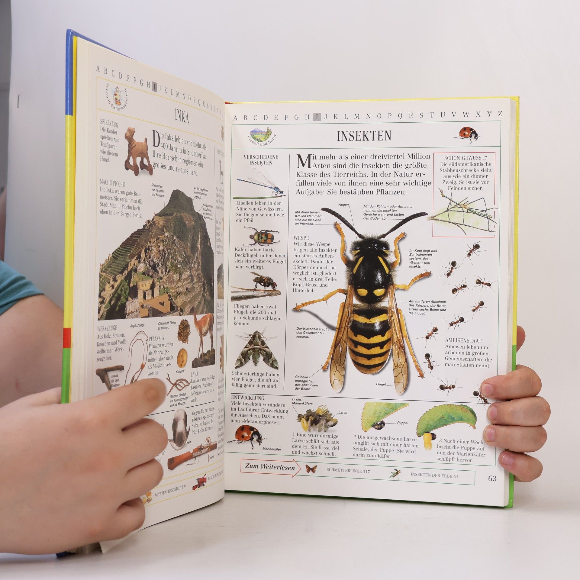 Sabine Zürn Das Ravensburger Kinderlexikon von A - Z