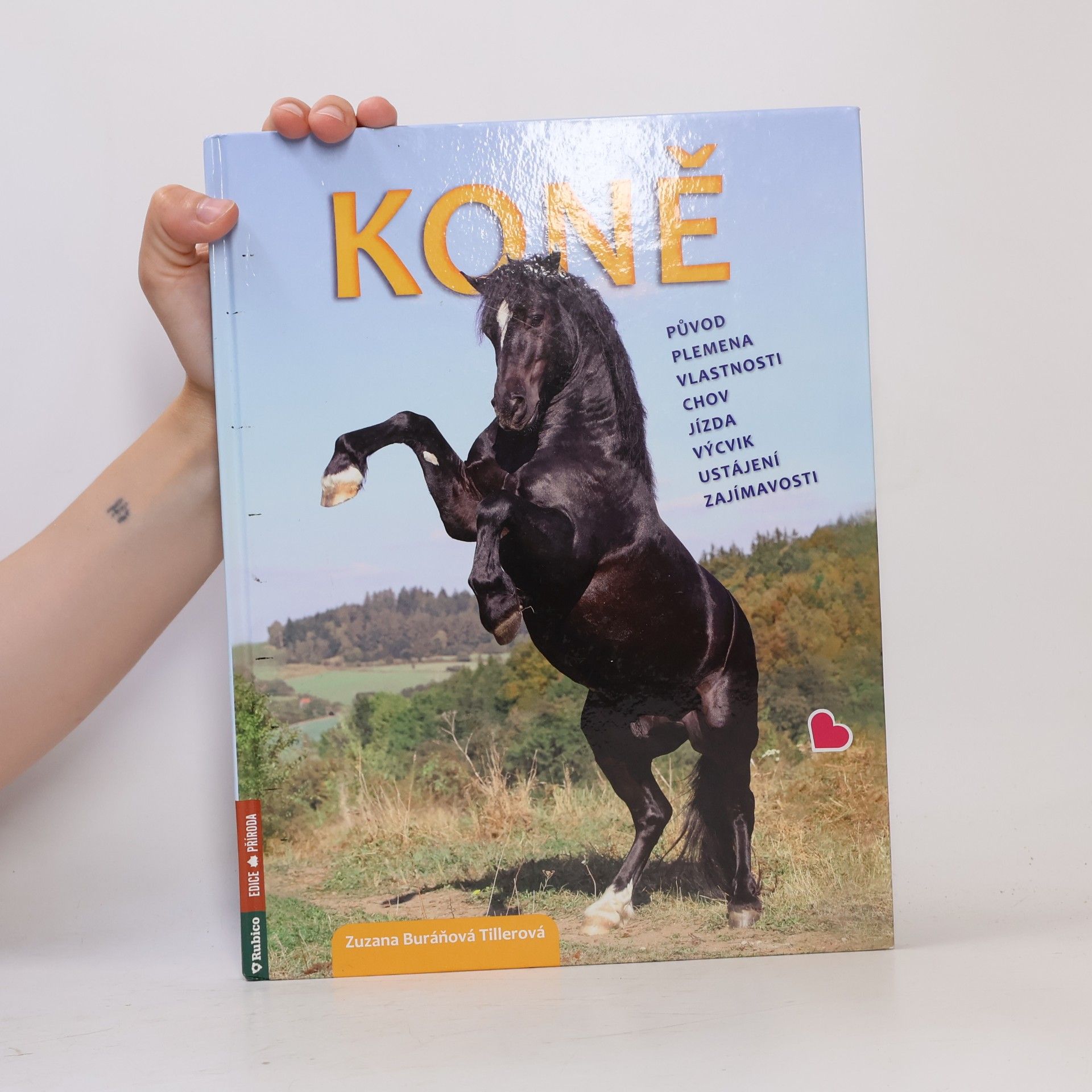 Zuzana Tillerová Koně
