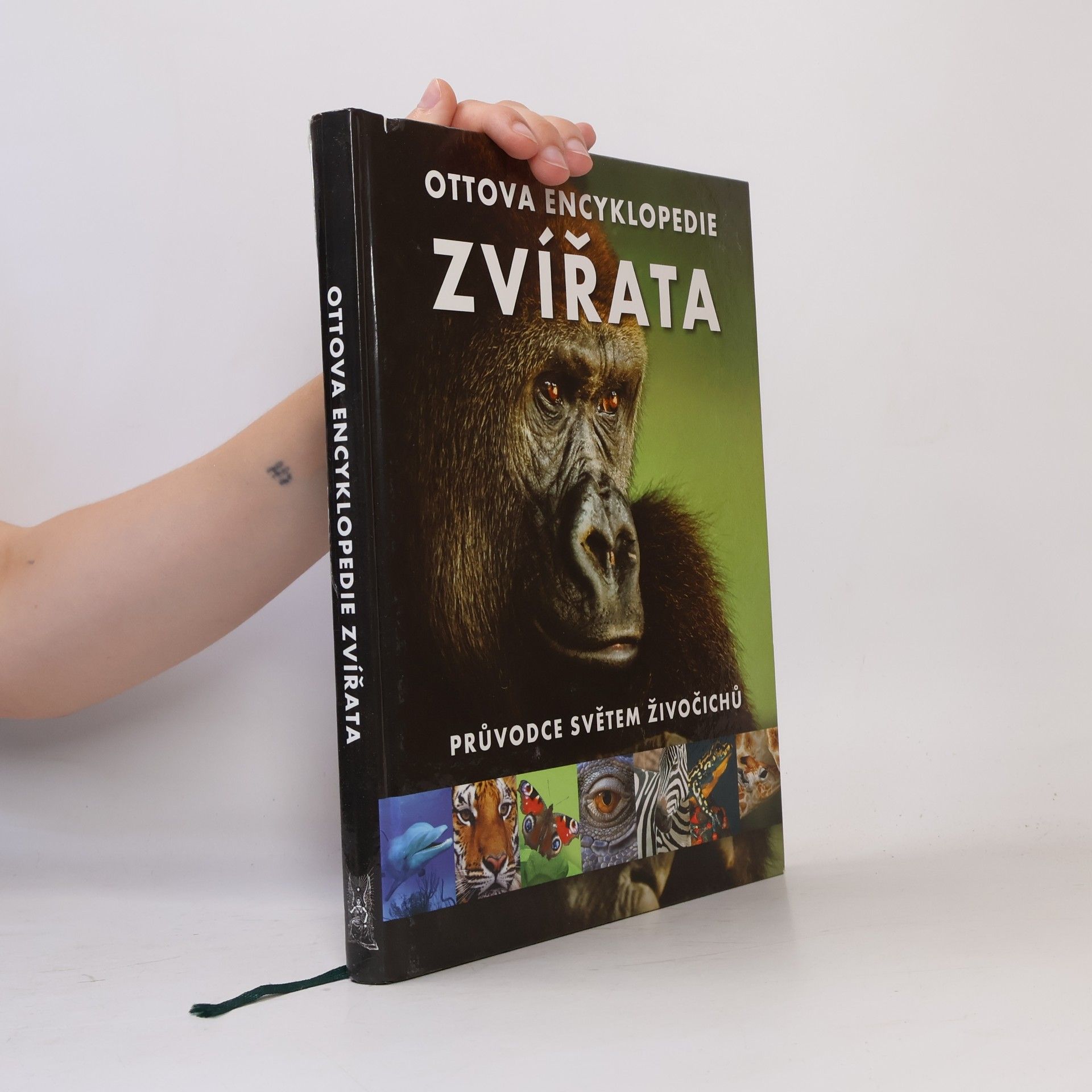 Romana Anděrová Zvířata : Ottova encyklopedie : průvodce světem živočichů