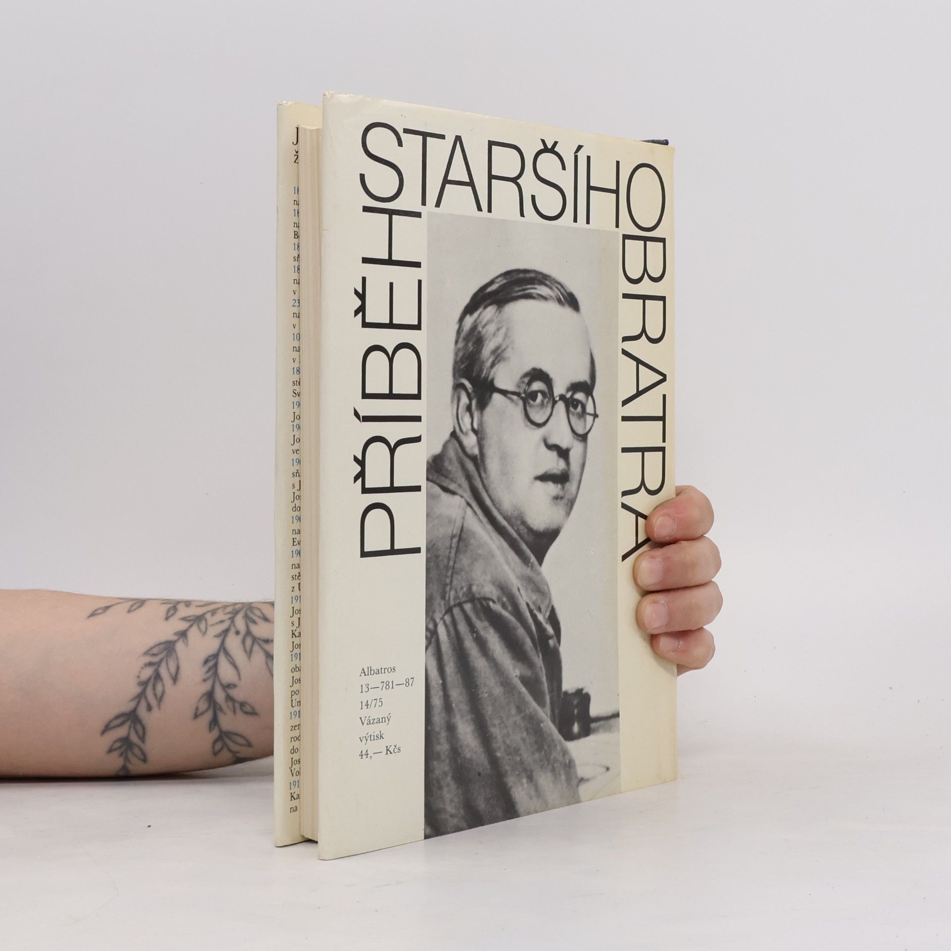 Ilona Borská Příběh staršího bratra