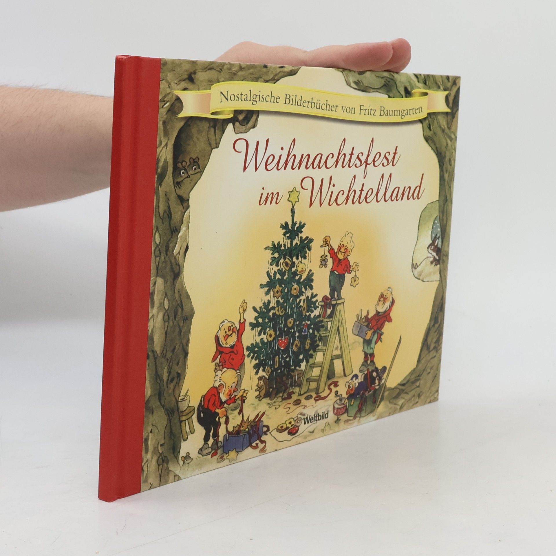 Fritz Baumgarten Weihnachtsfest im Wichtelland