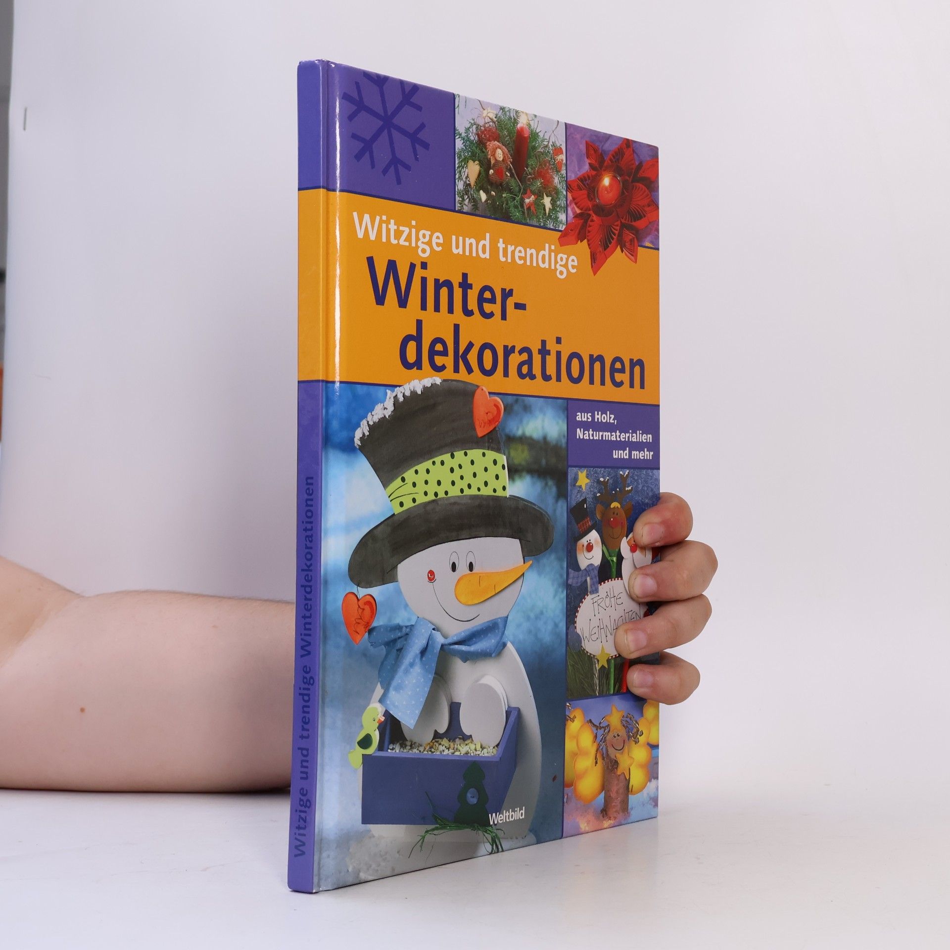 Autorenkollektiv Witzige und trendige Winterdekorationen