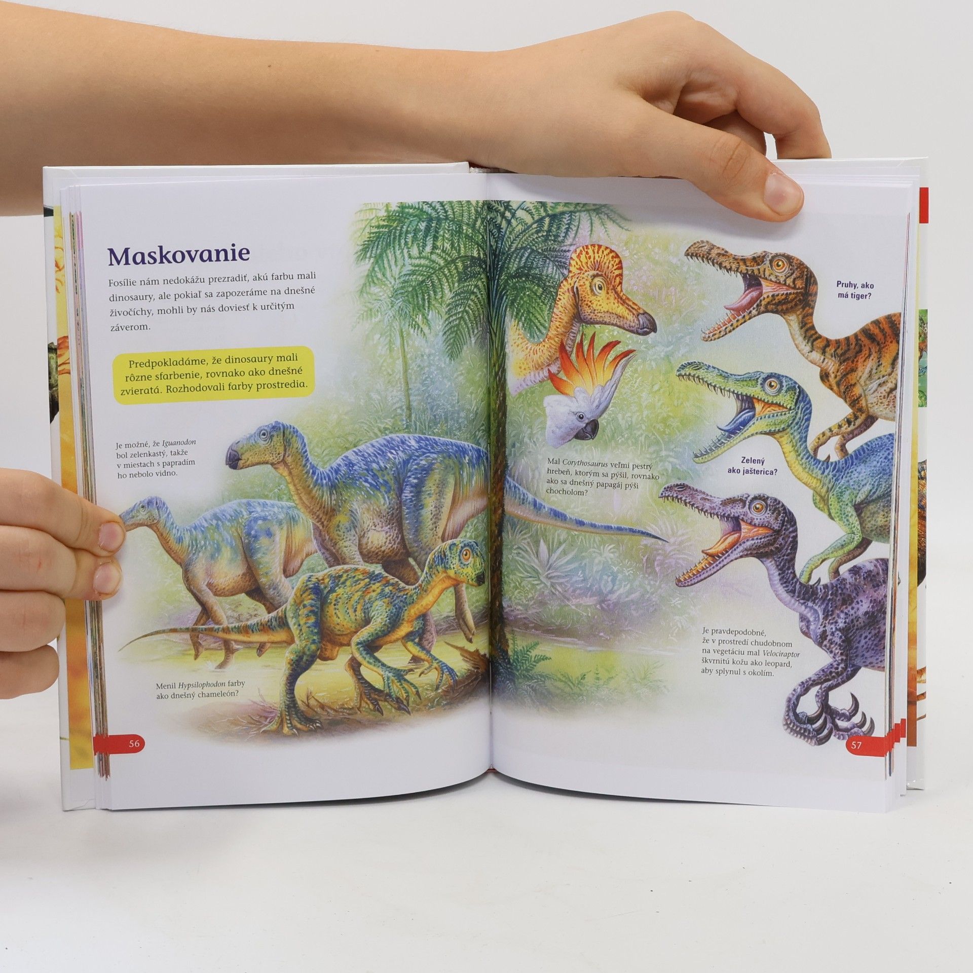 Kolektiv autorů Dinosaury