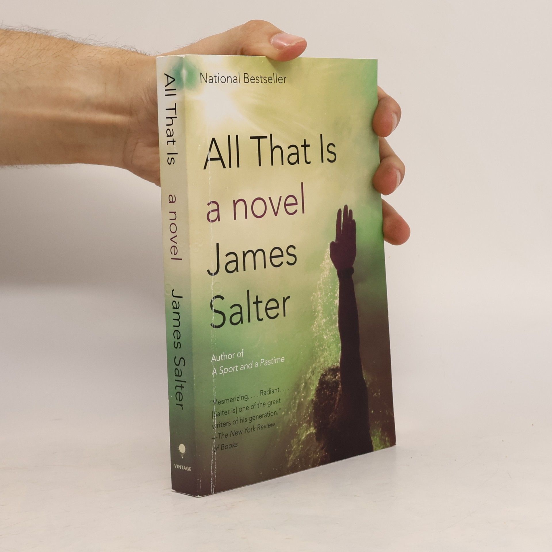 James Salter All That Is