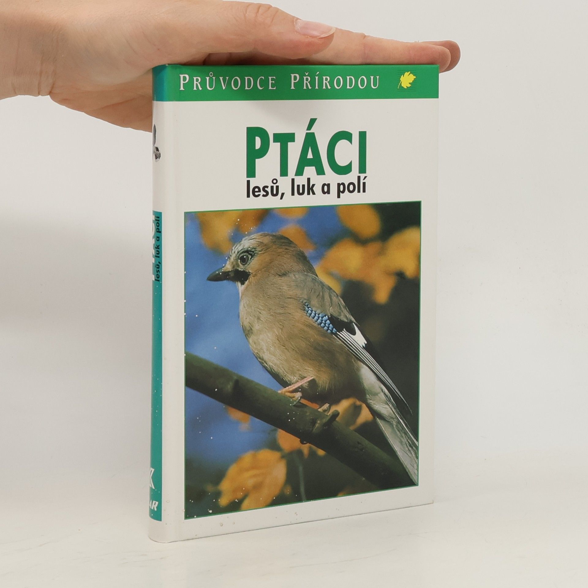 Sauer Frieder Ptáci lesů, luk a polí