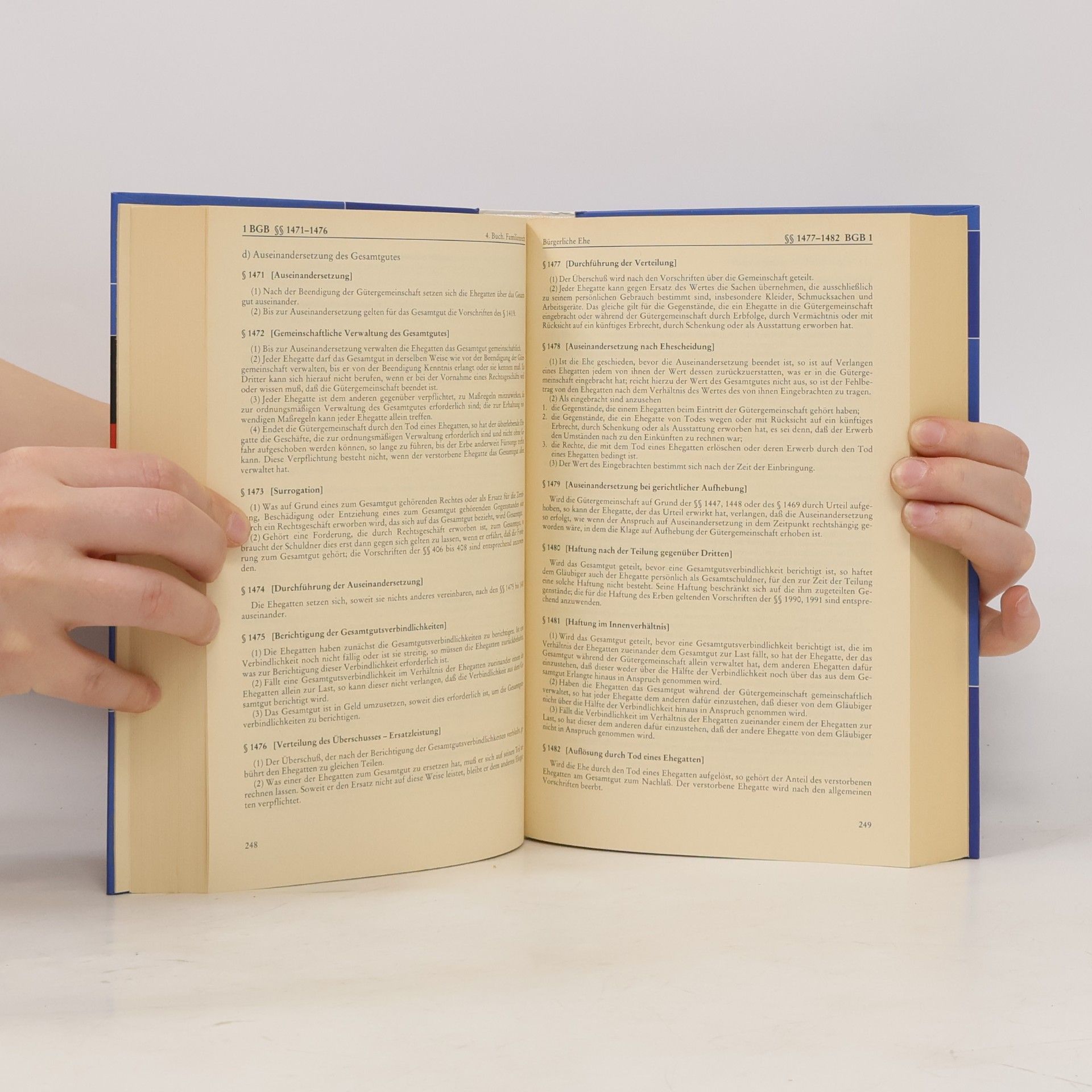 Bürgerliches Gesetzbuch und Nebengesetze