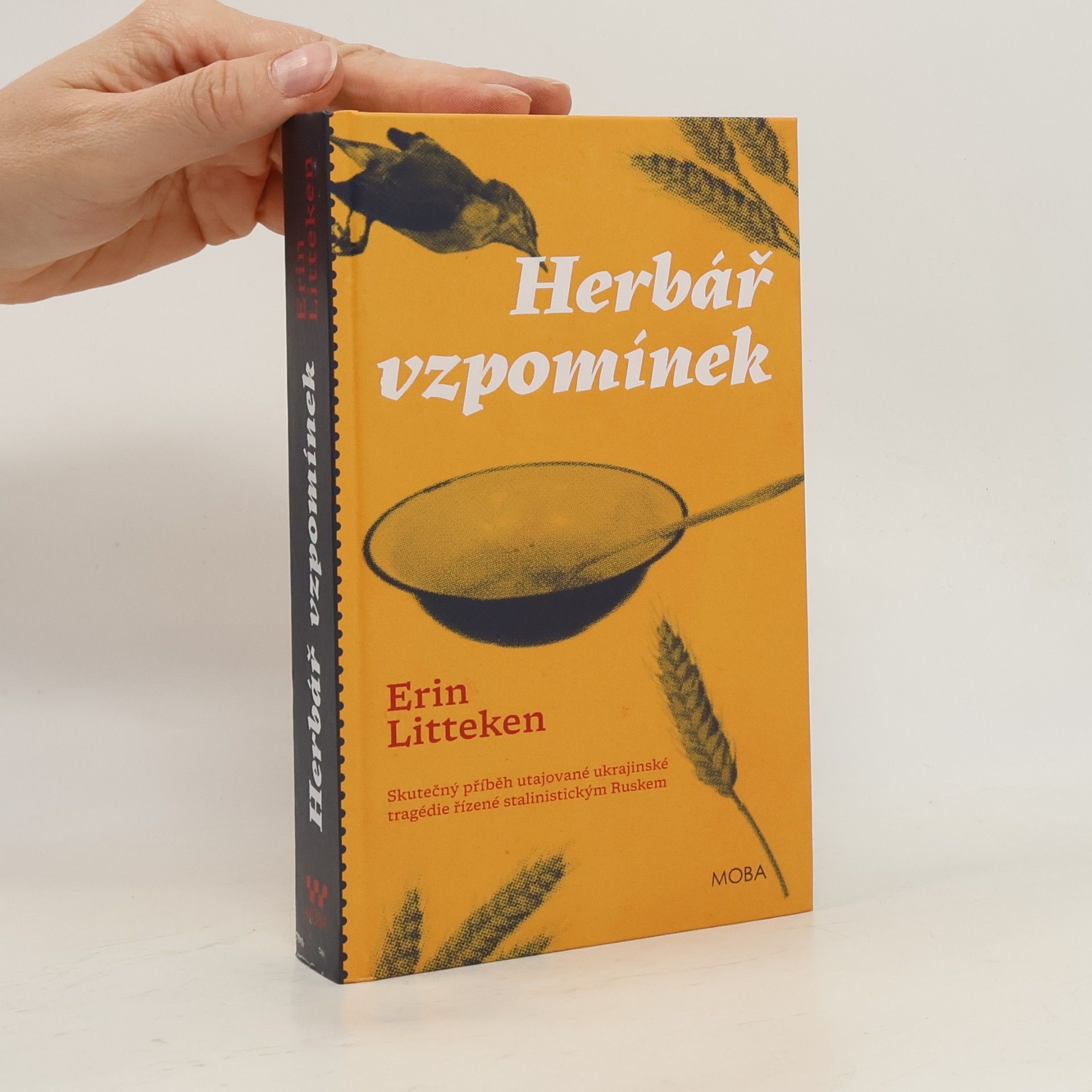 Erin Litteken Herbář vzpomínek
