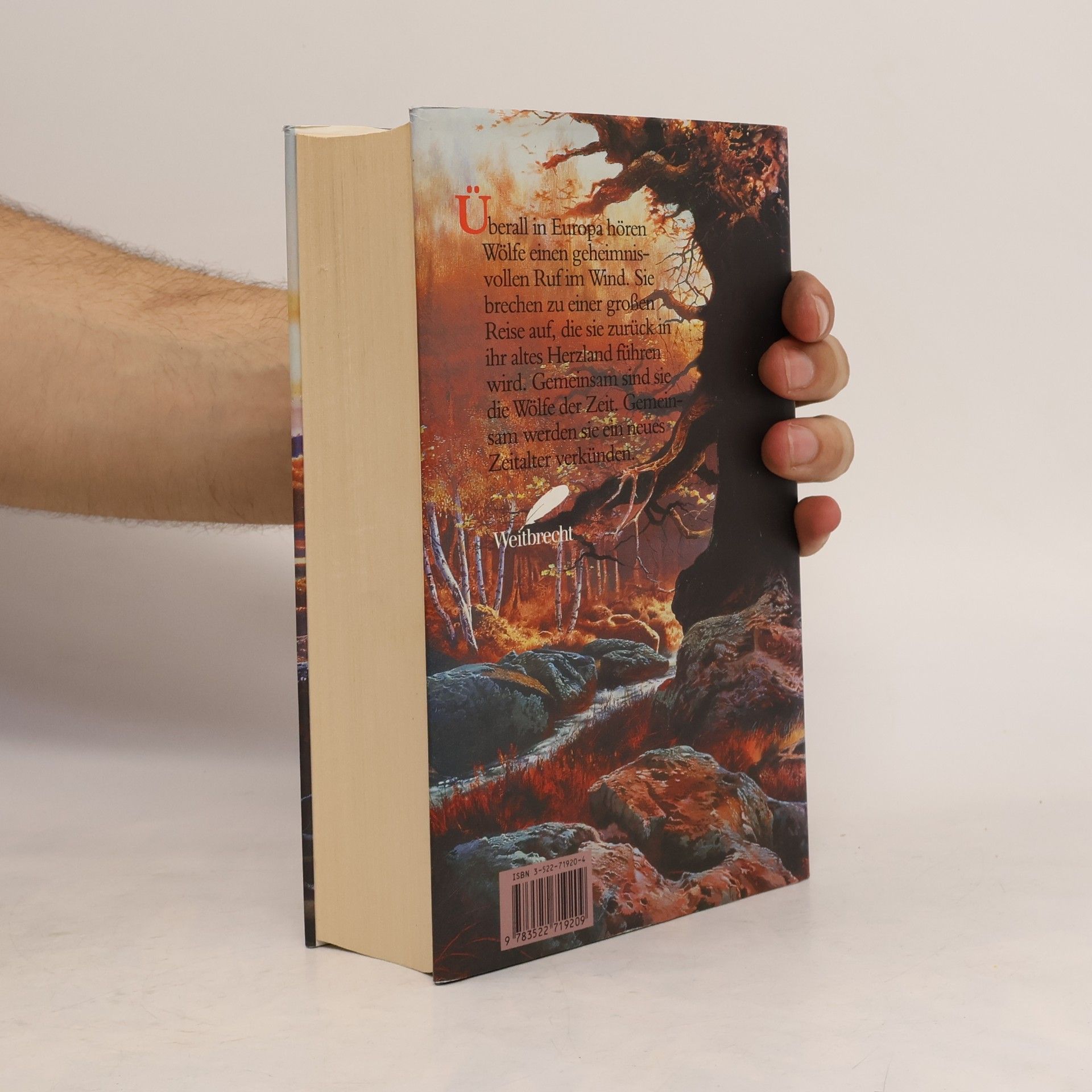 William Horwood Die Wölfe der Zeit. Die Reise ins Herzland