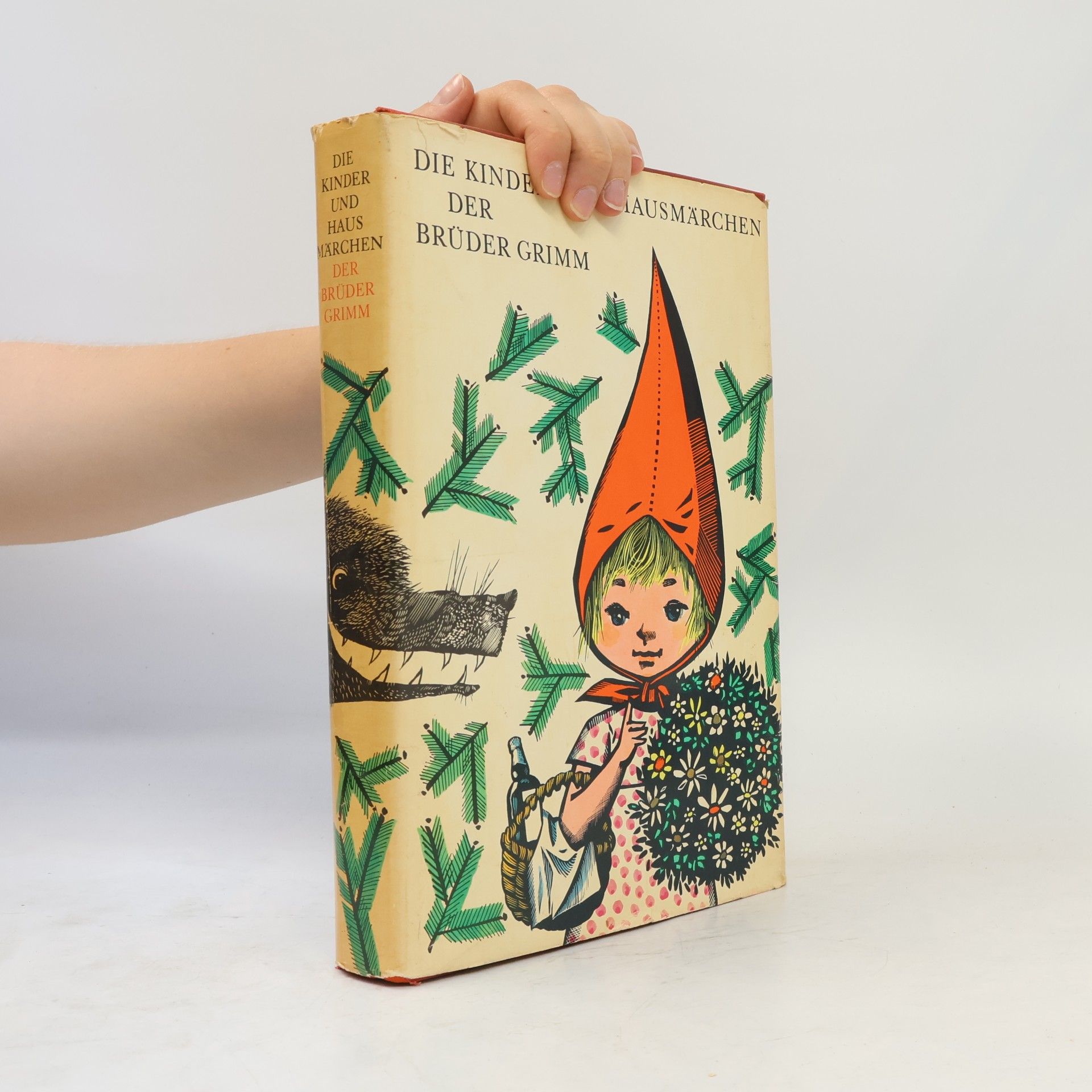 bratři Grimmové Die Kinder- und Hausmärchen der Brüder Grimm