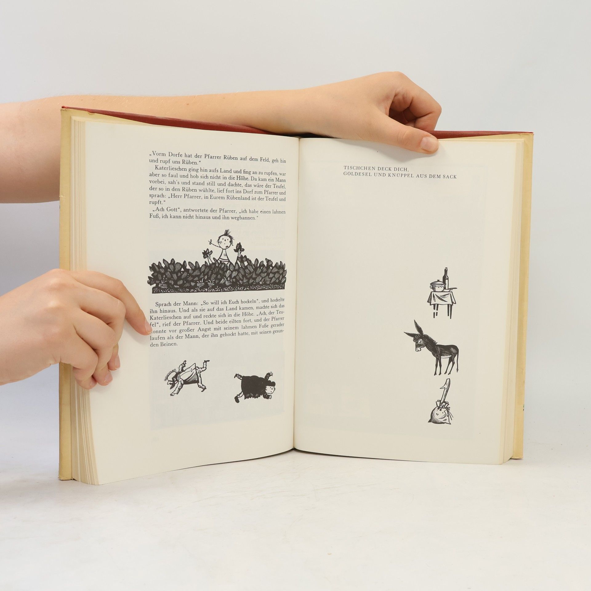bratři Grimmové Die Kinder- und Hausmärchen der Brüder Grimm