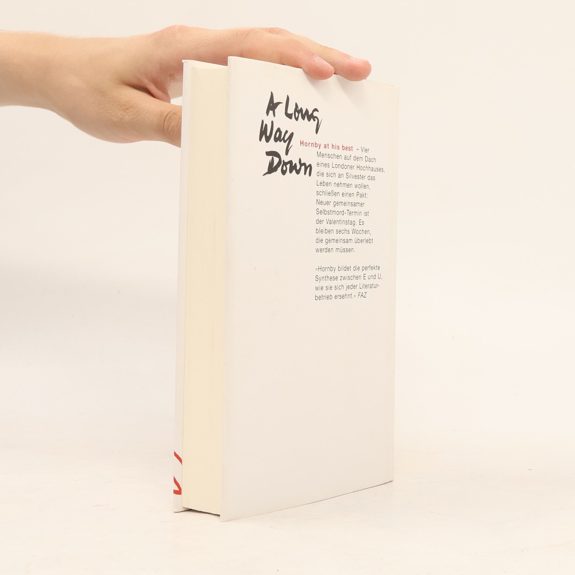 Nick Hornby A Long Way Down
