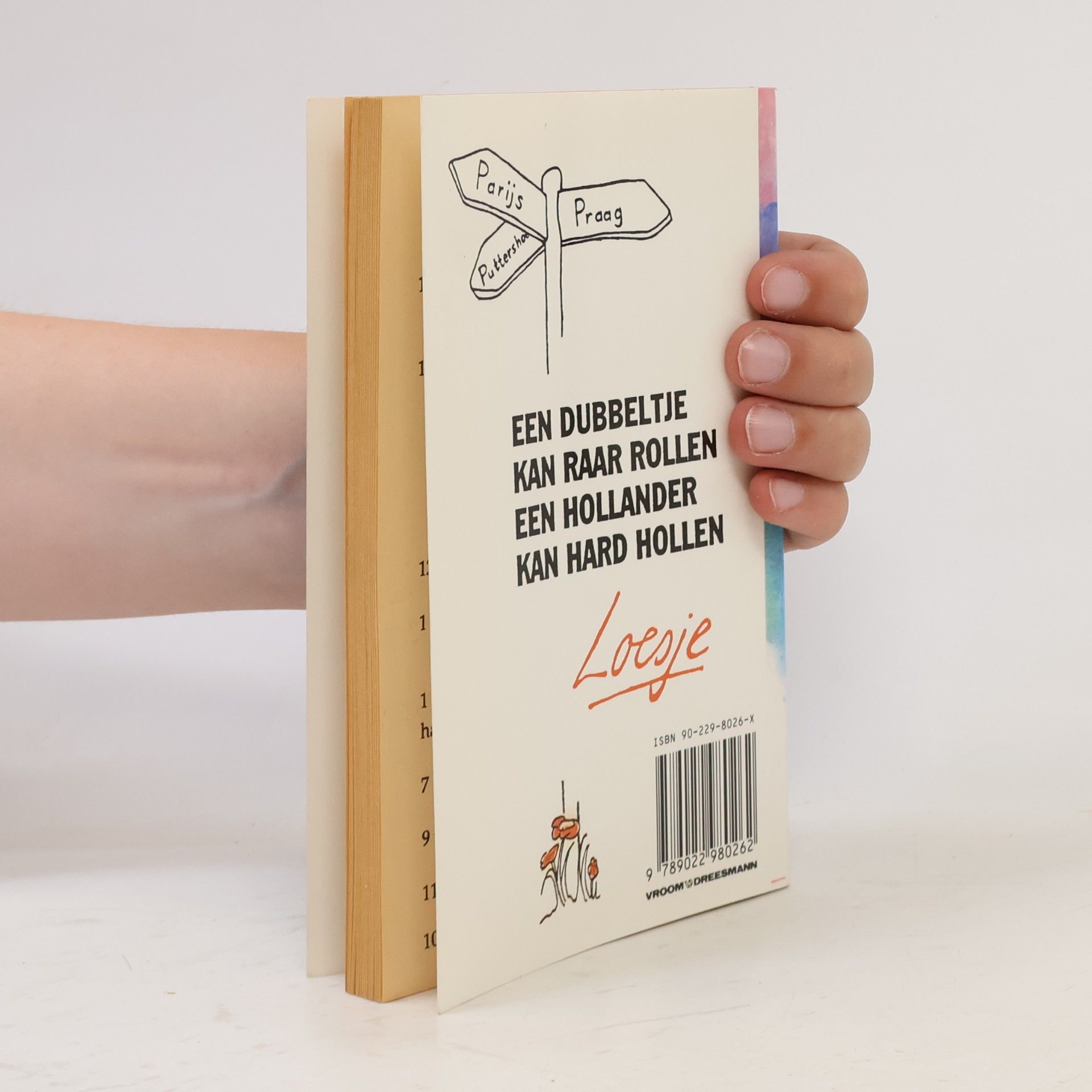 Loesje Loesje Rood wit paars violet