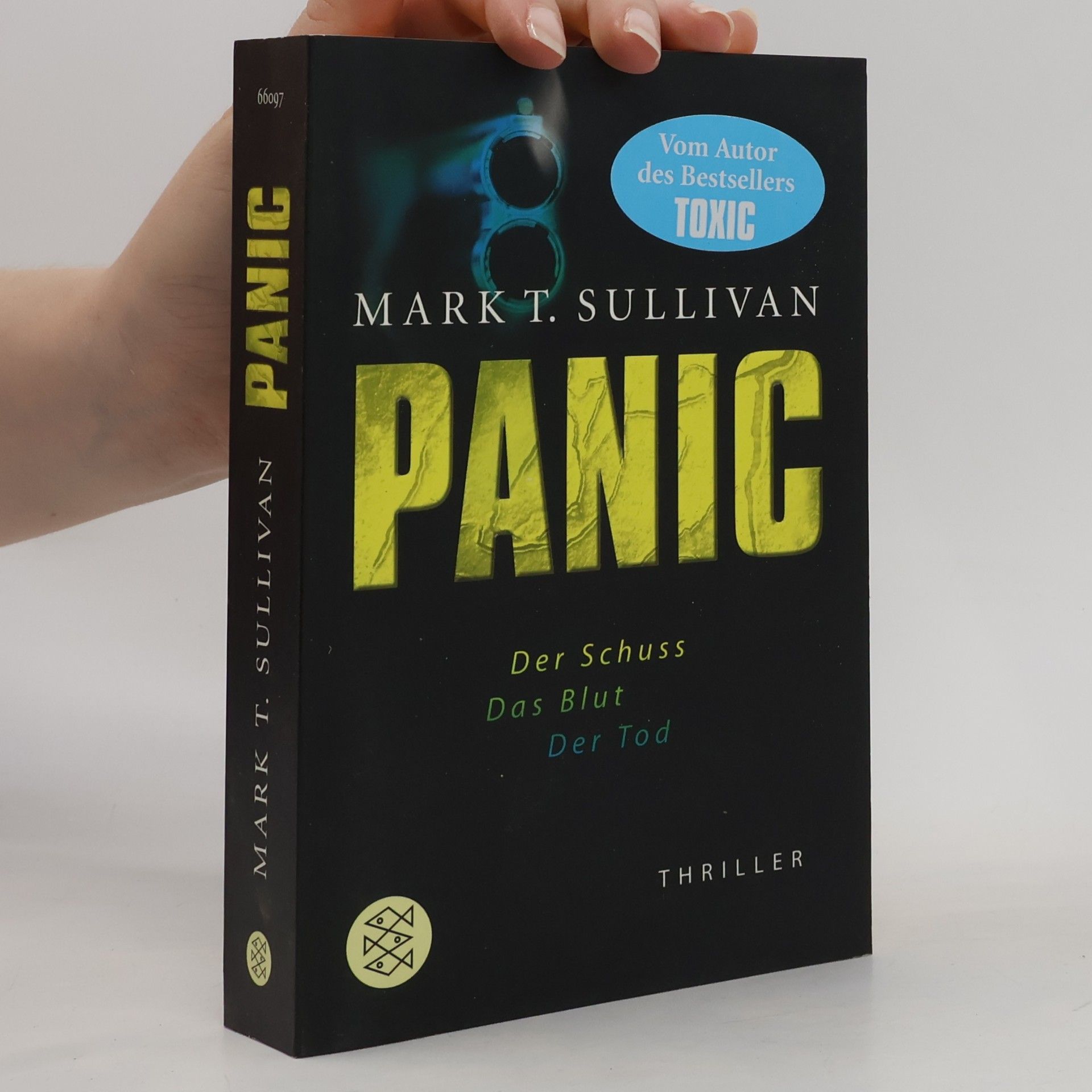 Mark T. Sullivan Panic