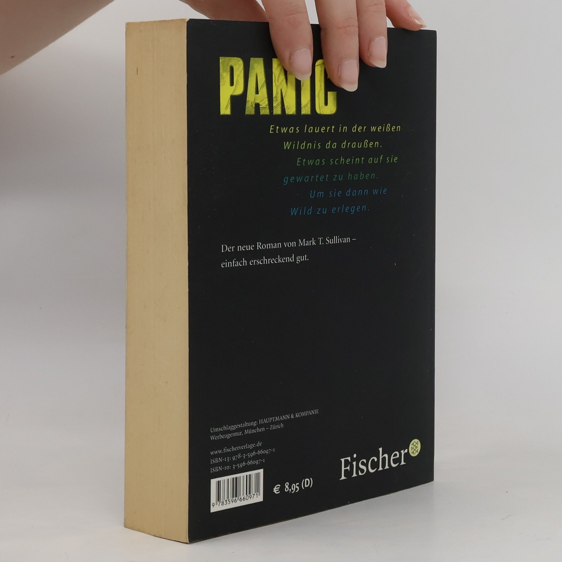 Mark T. Sullivan Panic