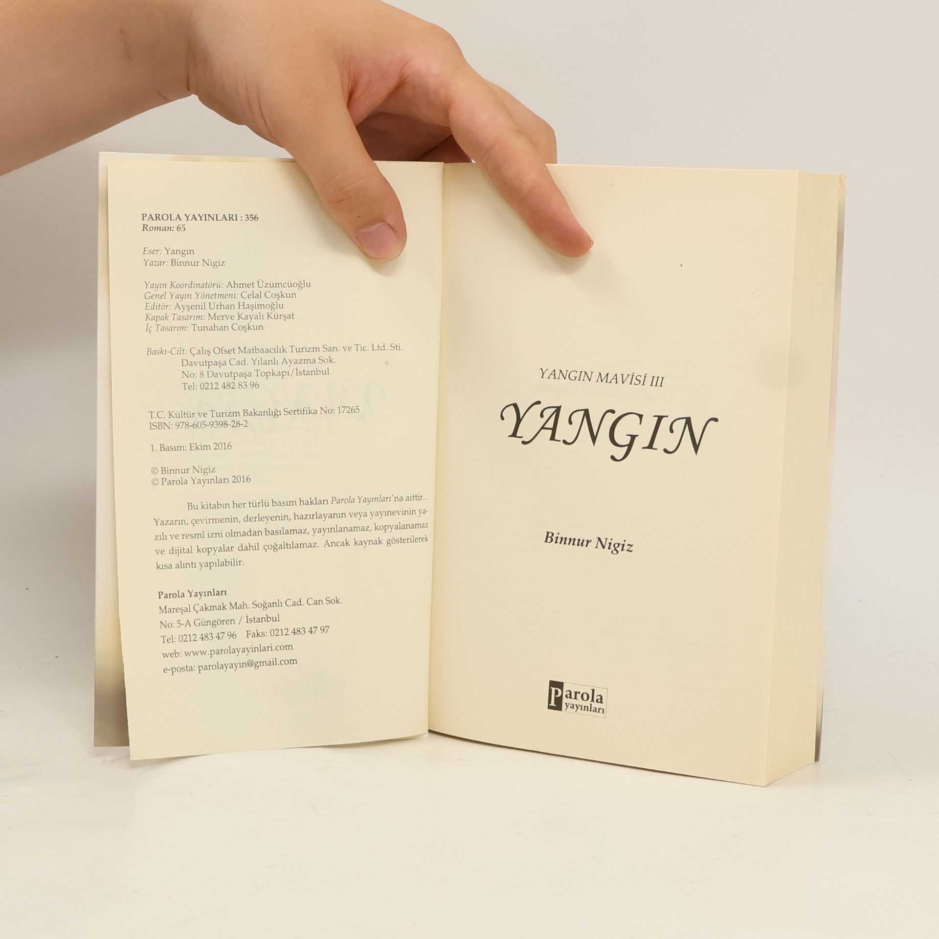 Binnur safak Nigiz Yangin Mavisi Serisi - 2: Yangın