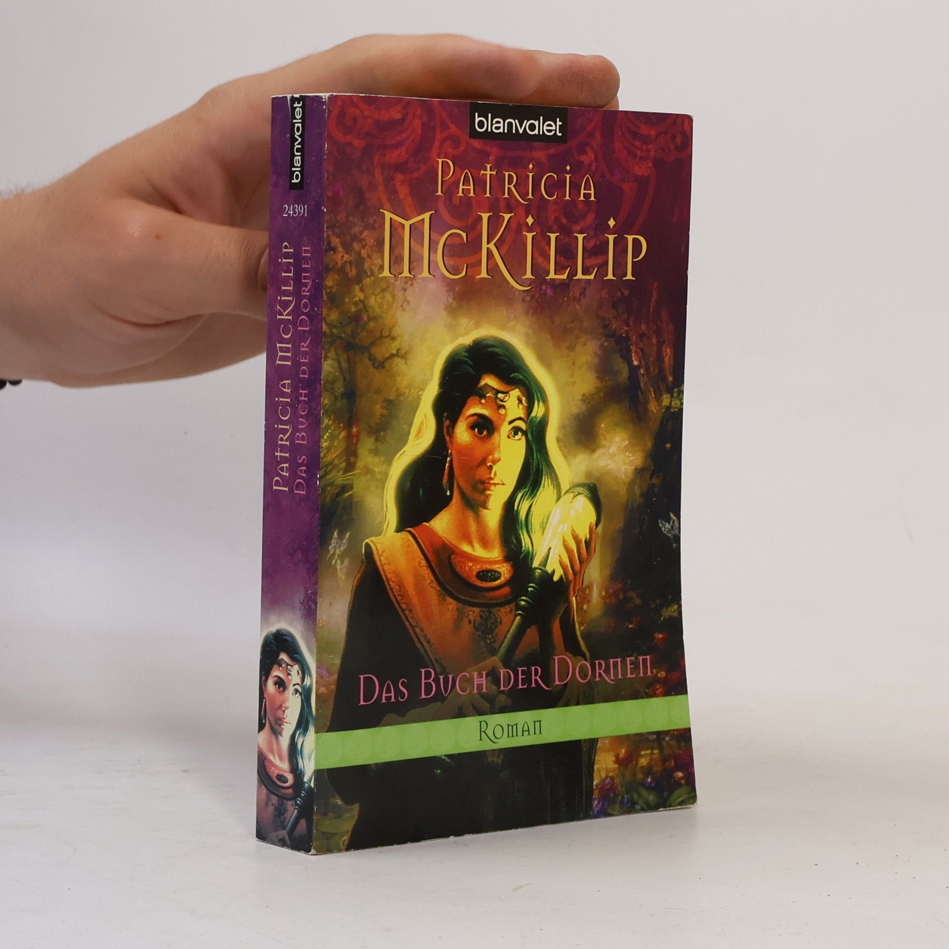 Patricia A. McKillip Das Buch der Dornen